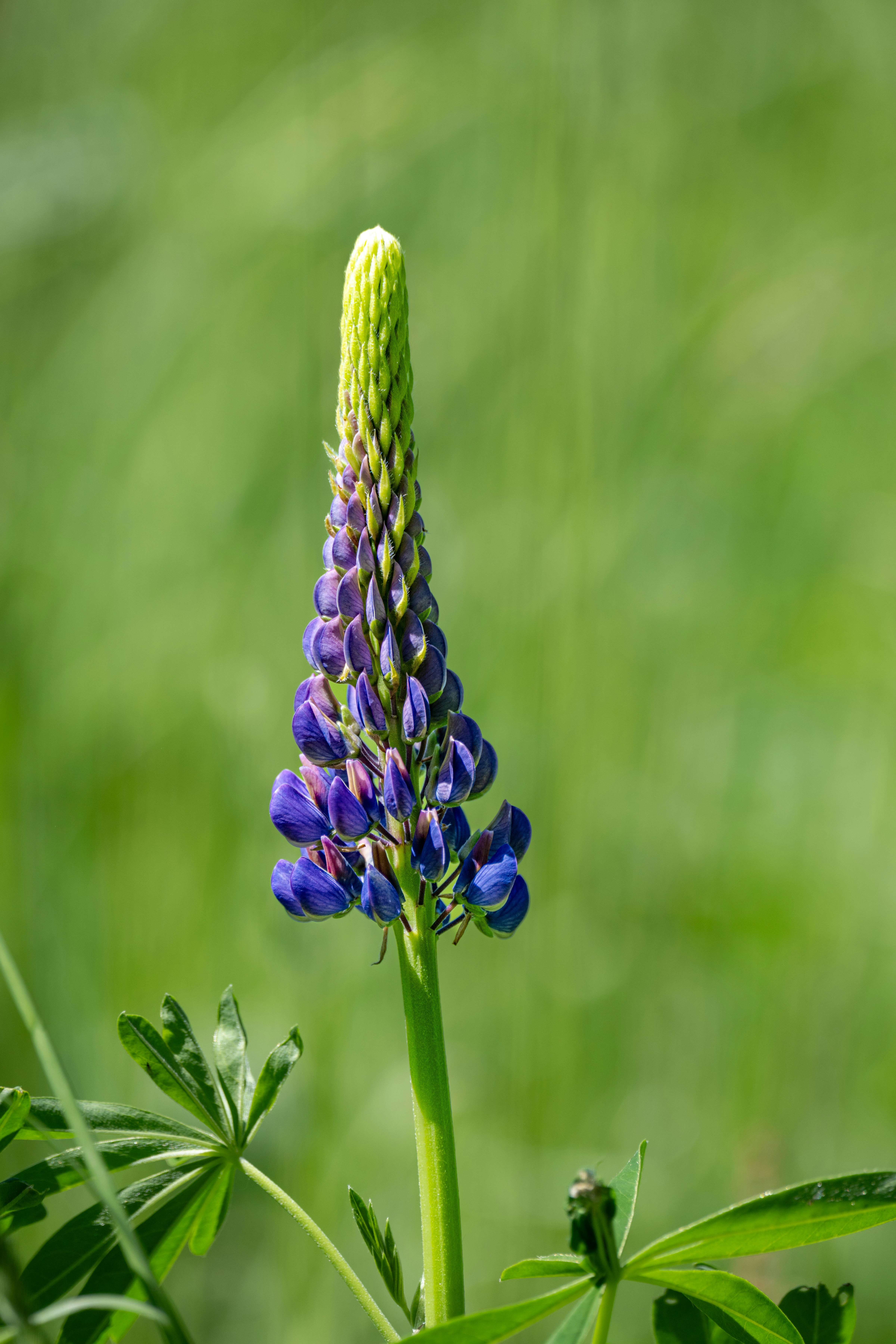 Photo by siegfriedpoepperl