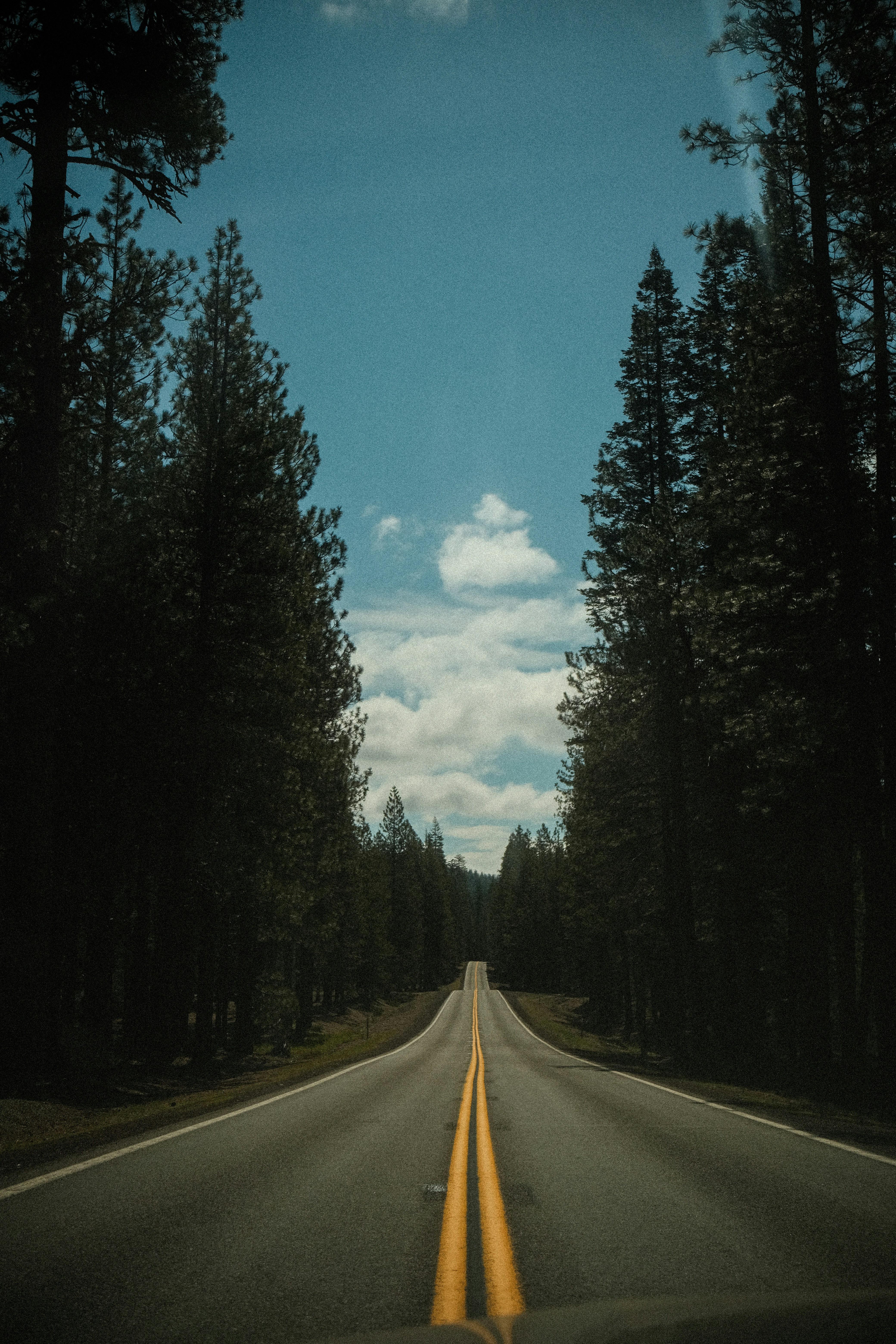 Photo by david_moorhouse