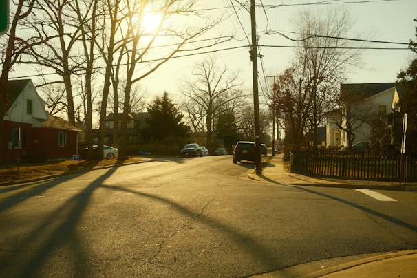Sunlight bathes a quiet suburban street.