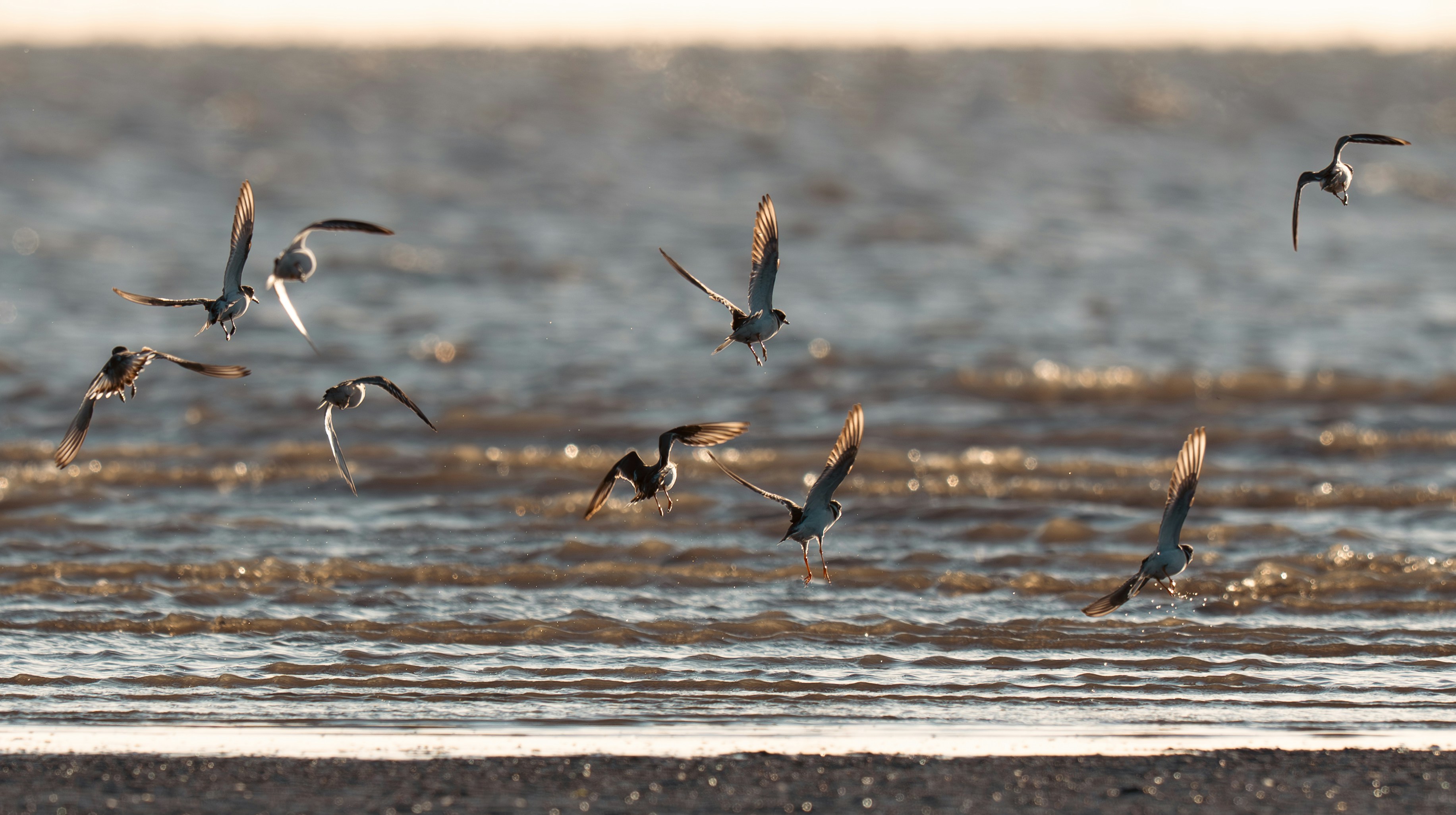 Photo by job_vermeulen