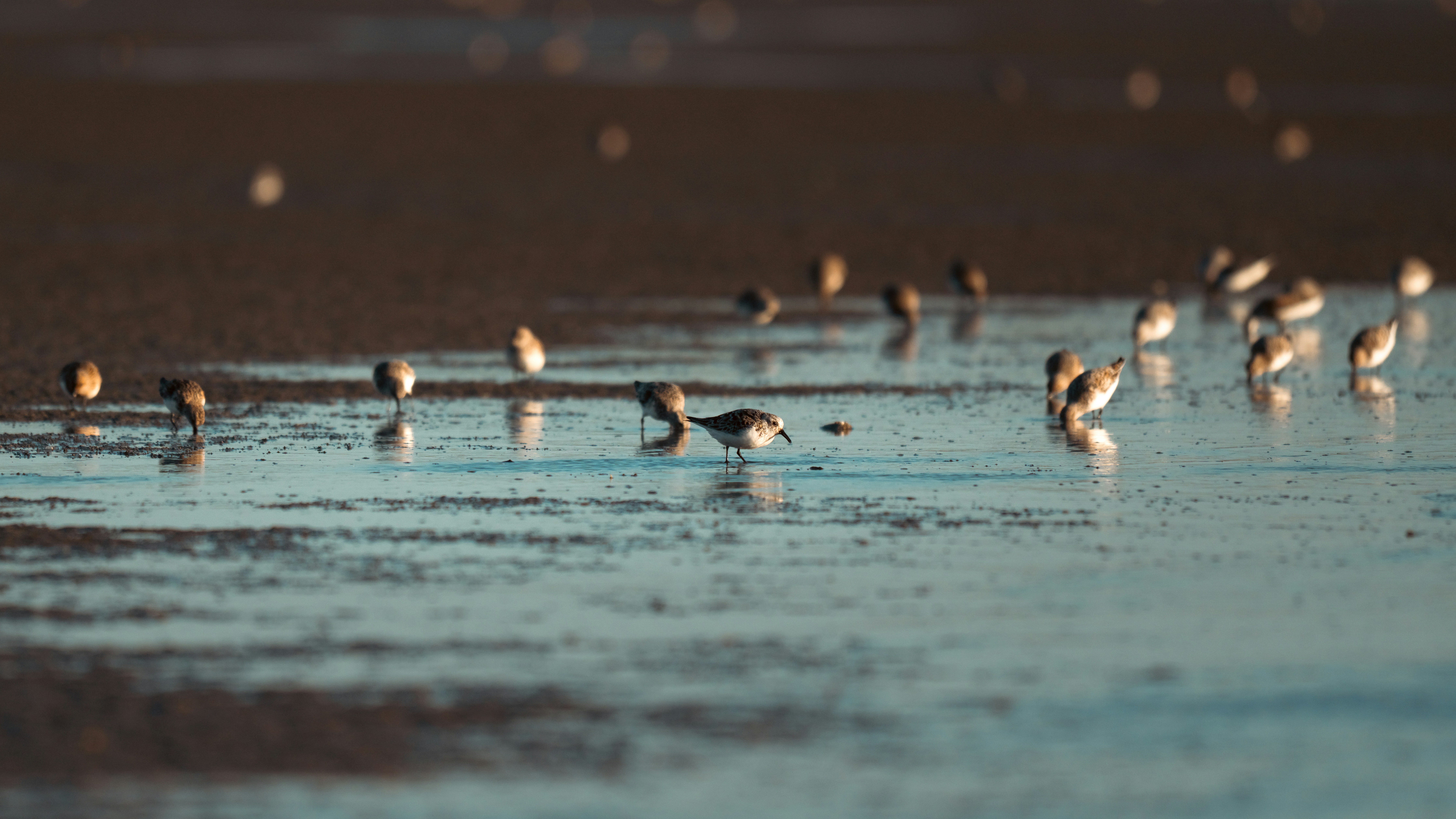 Photo by job_vermeulen