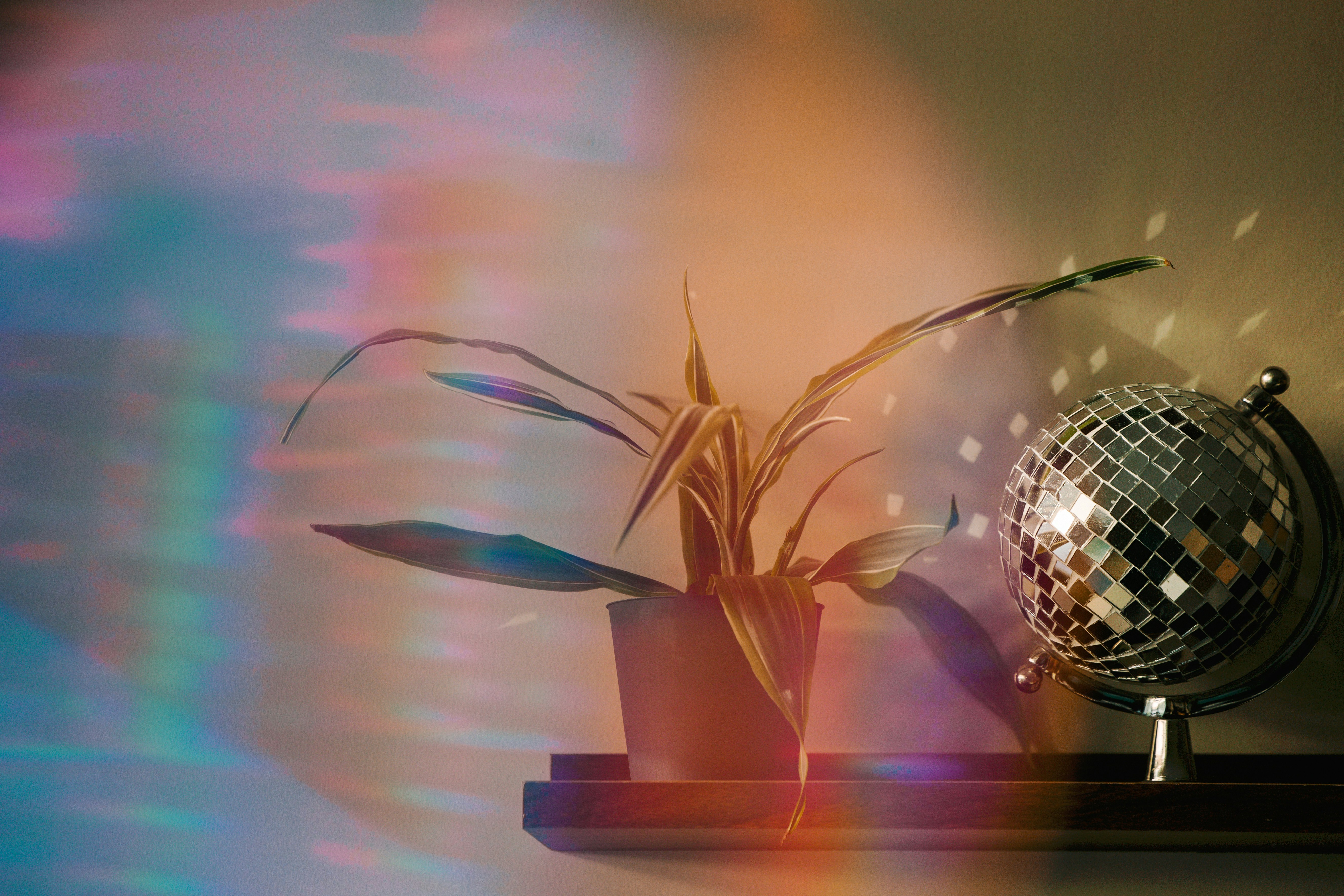 Disco ball and a plant on a shelf with colorful light.