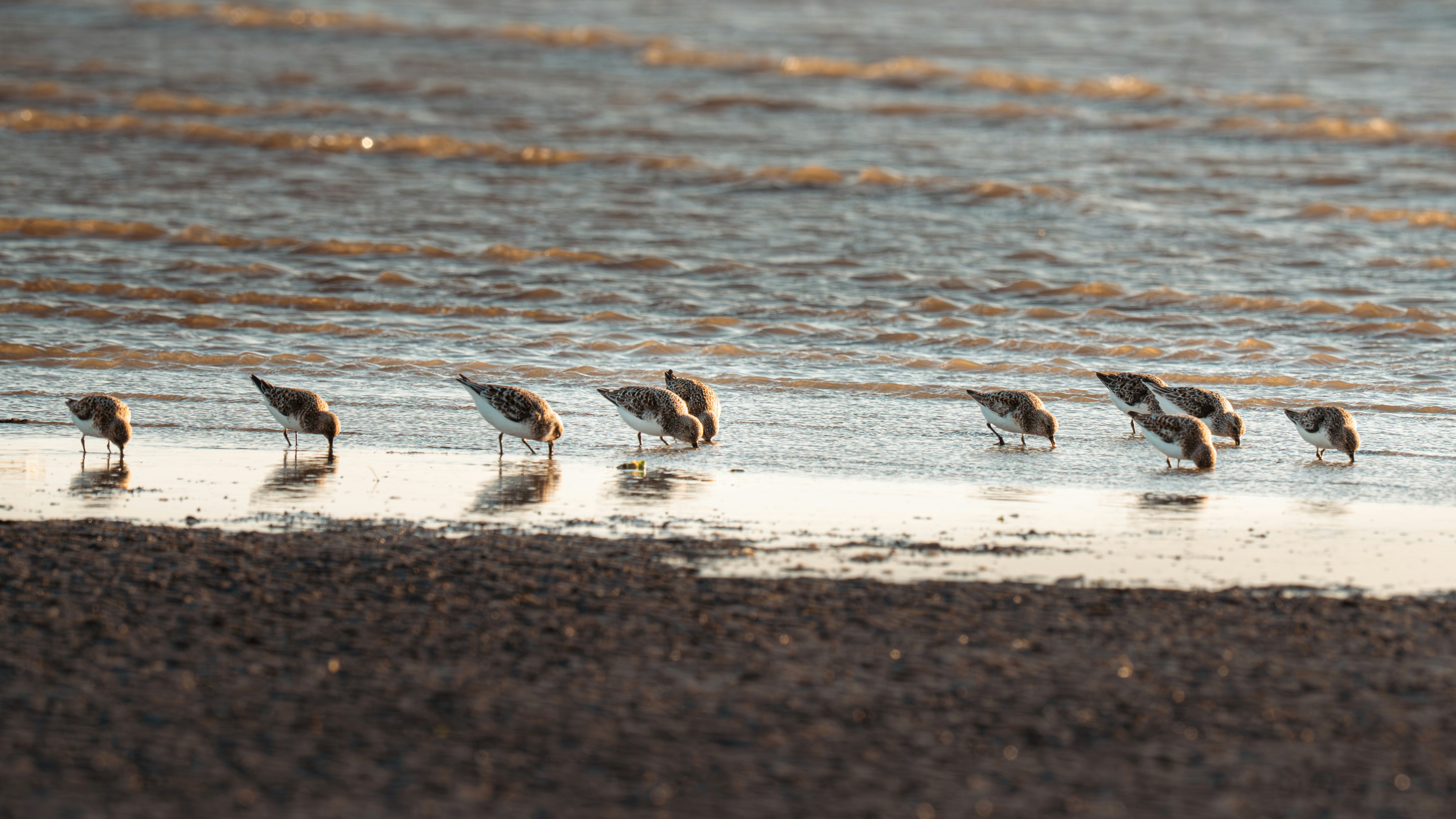 Photo by job_vermeulen