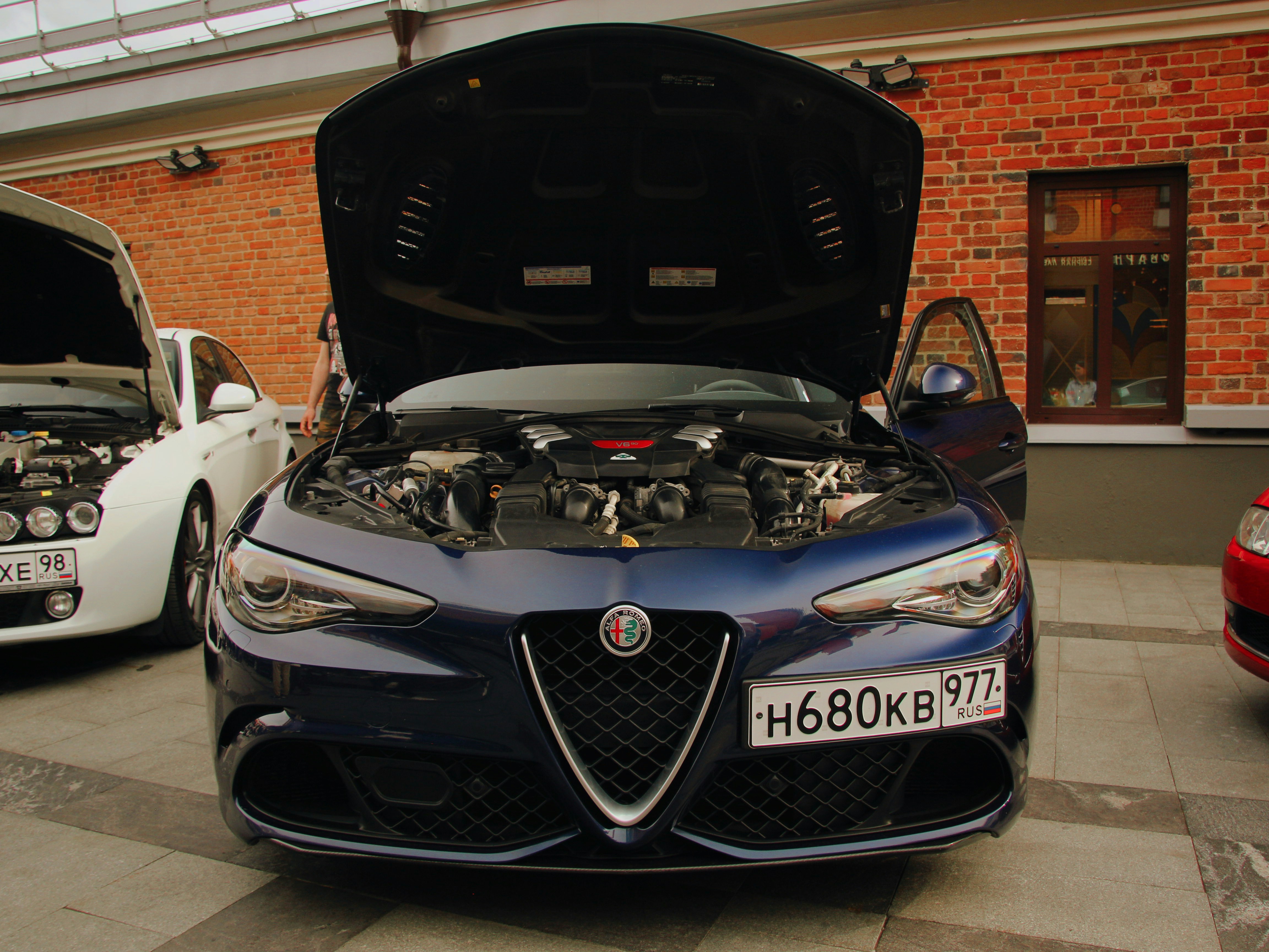 Photo by felis_catus