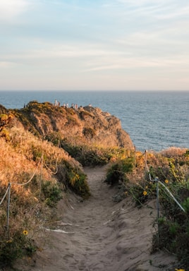 Path leads to a cliff overlooking the ocean.