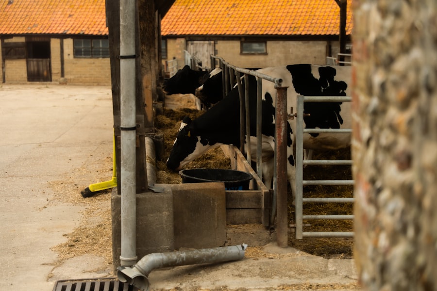 British farm buildings and barns