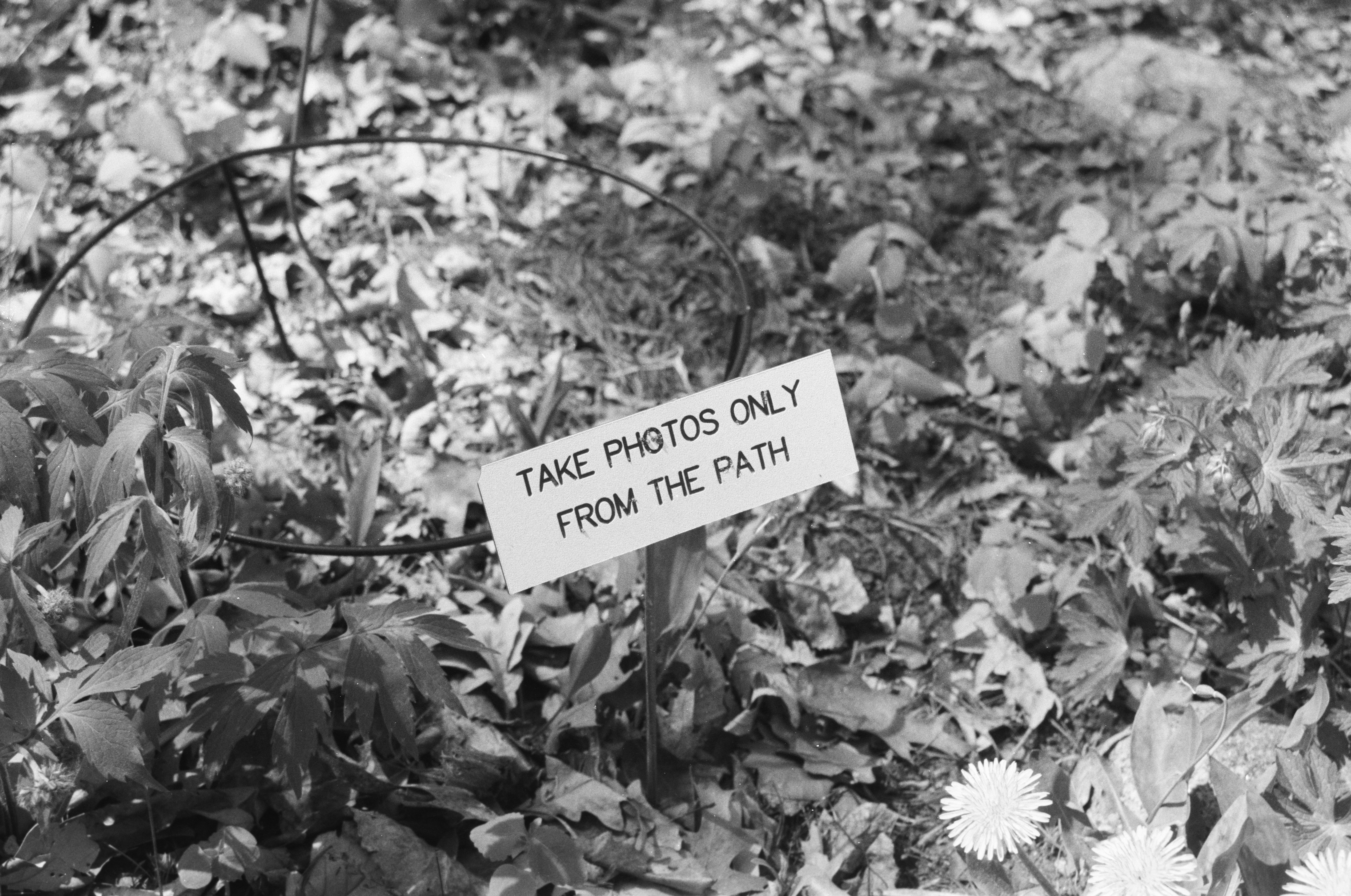 A sign asks photographers to stay on path. (Photo by Paul Esch-Laurent on Unsplash)