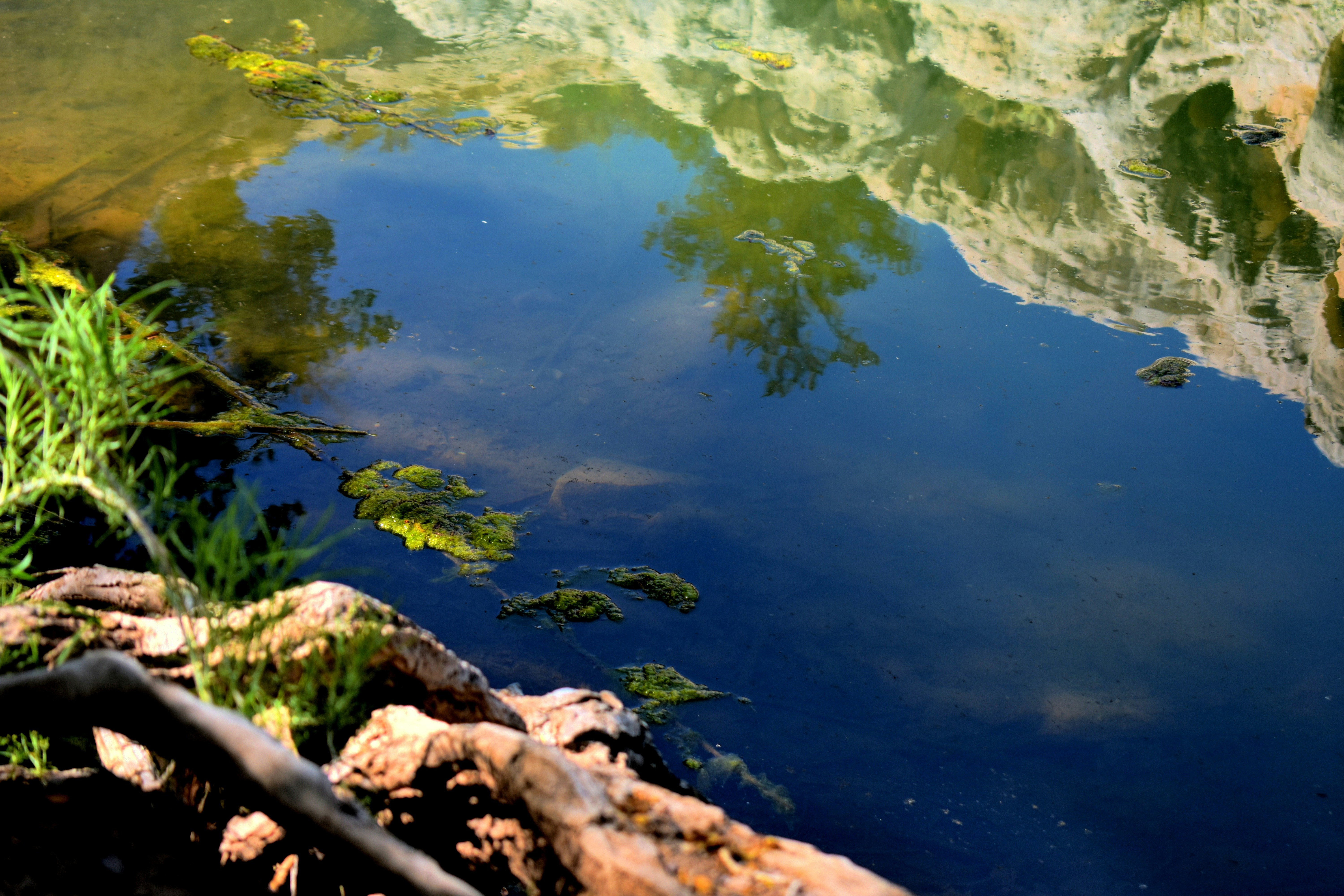 Photo by myshegotripped