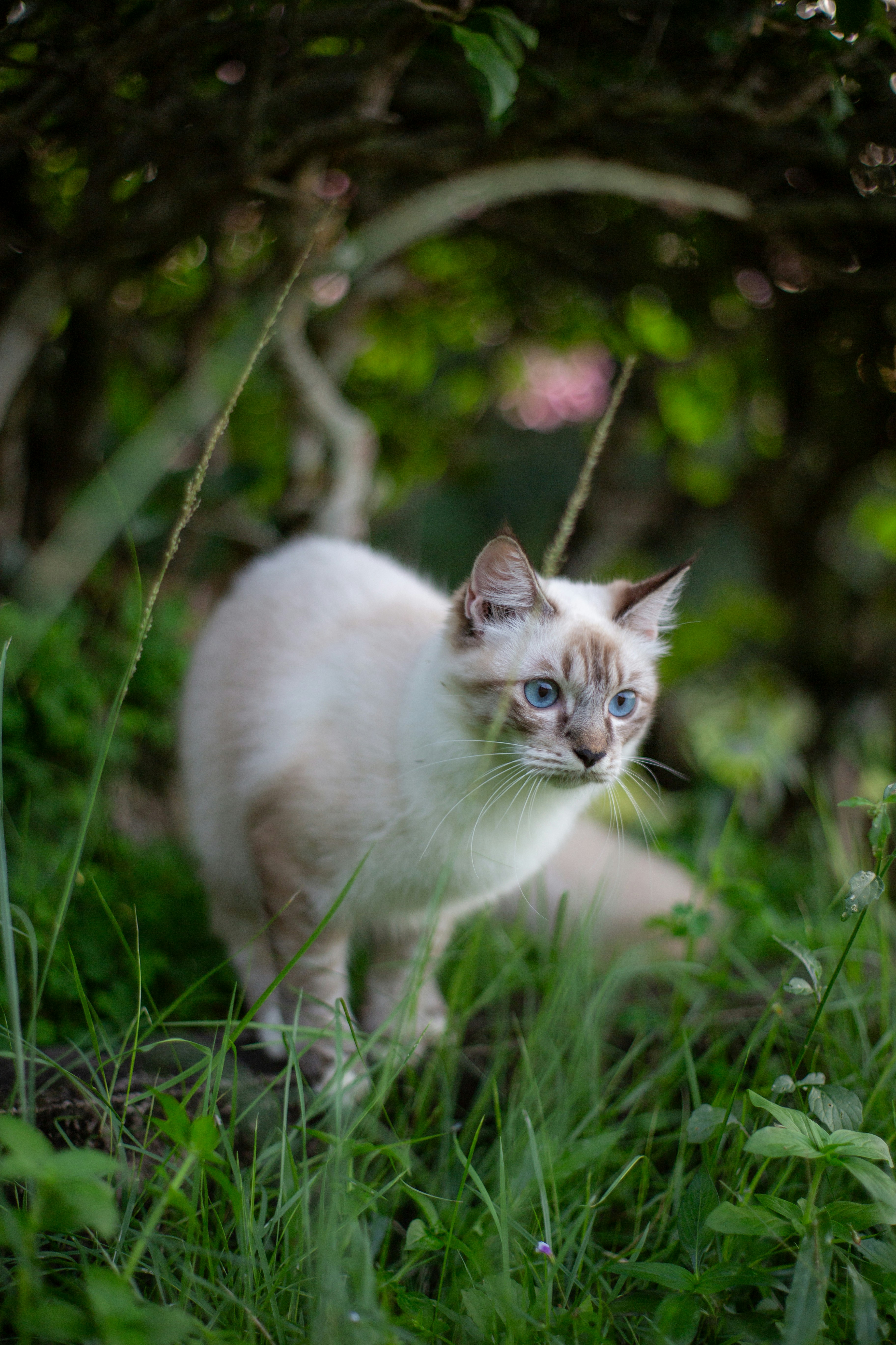 Photo by itsjustinstuart