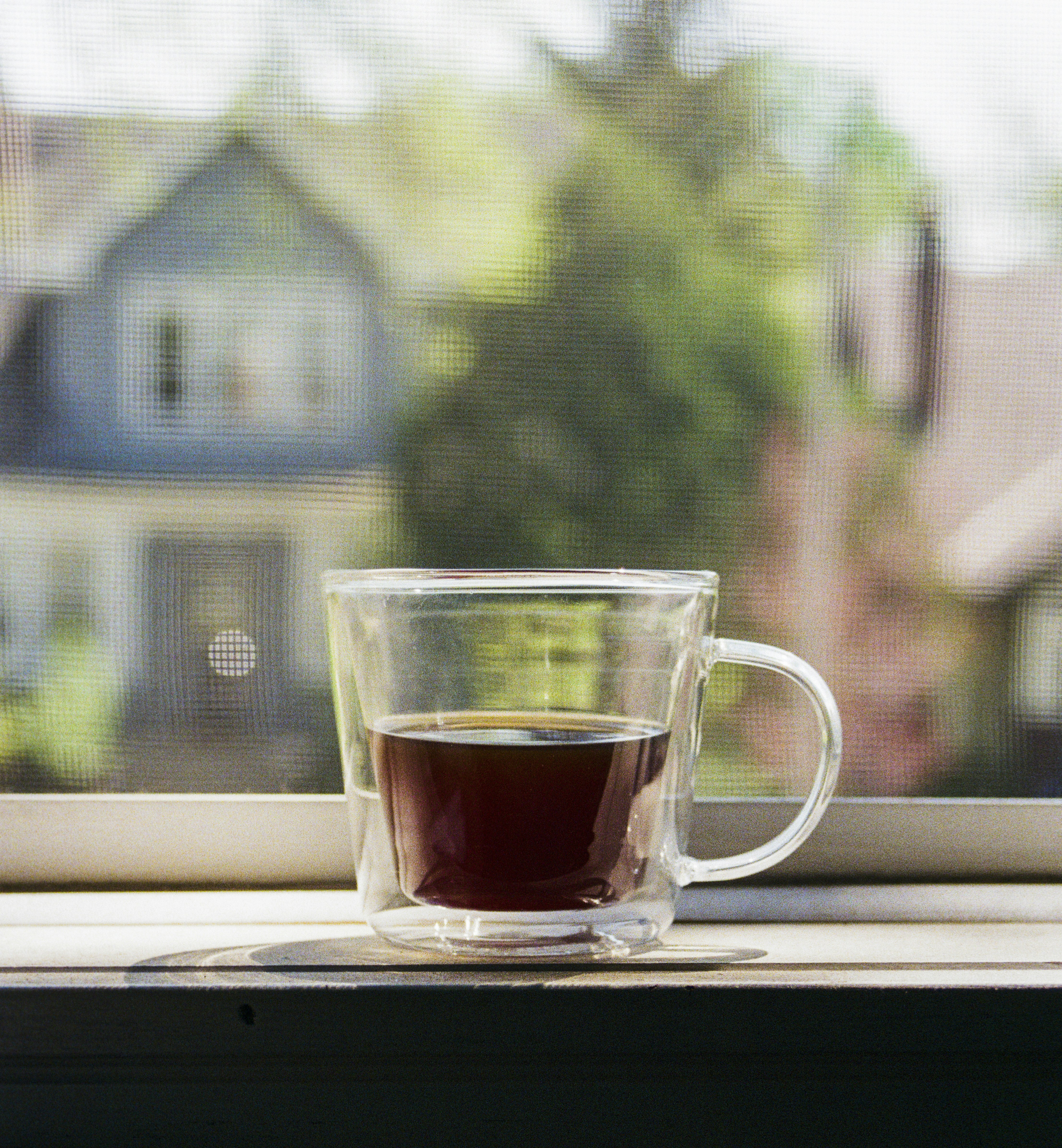 Double-Wall Glass Mugs (set of 2)