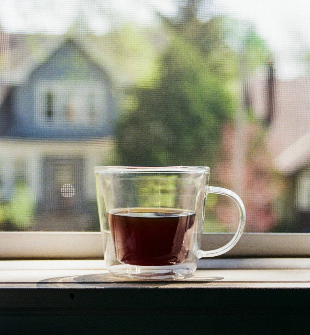 Double-Wall Glass Mugs (set of 2)