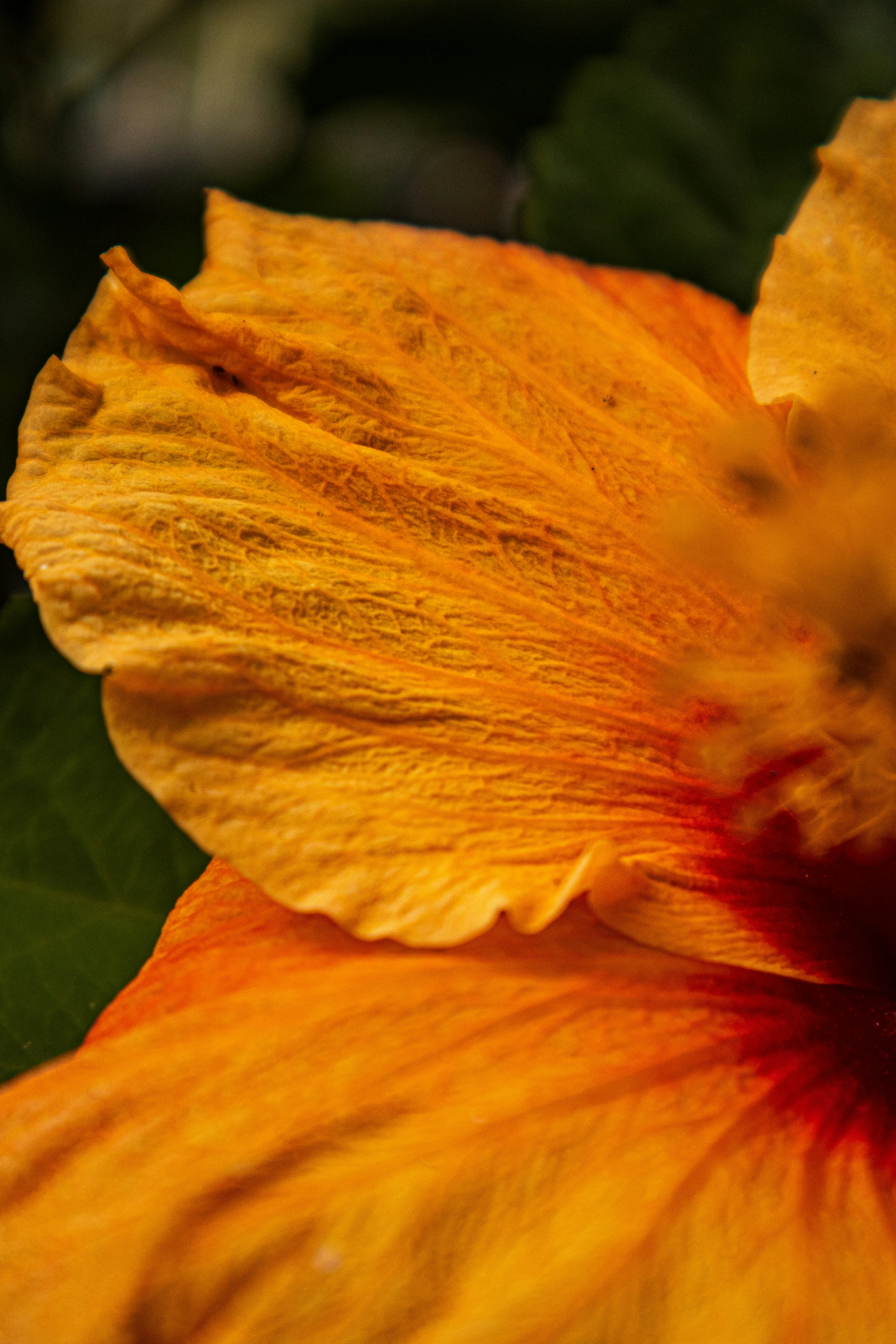 Photo by robertobs05