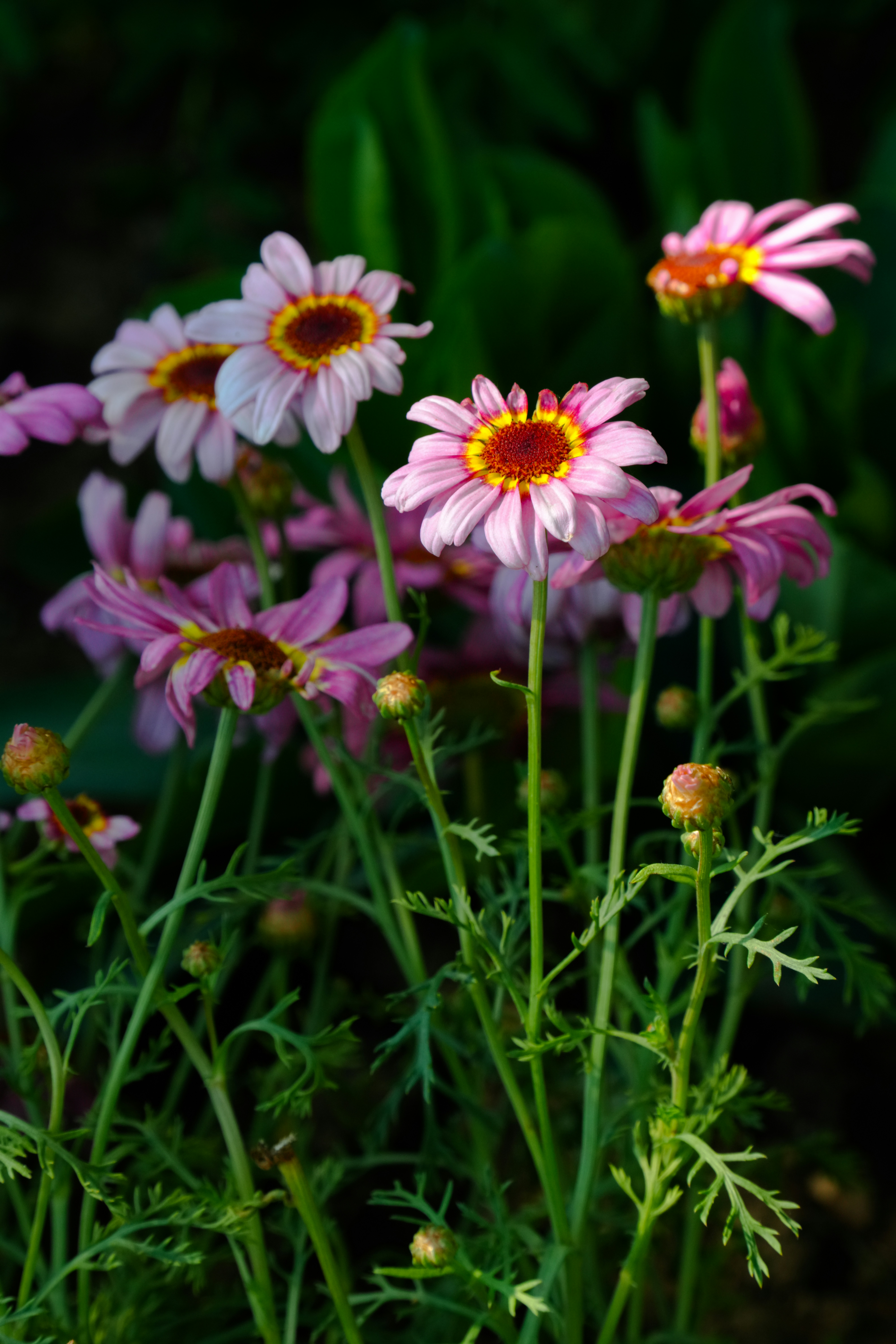 Photo by hattrick1996