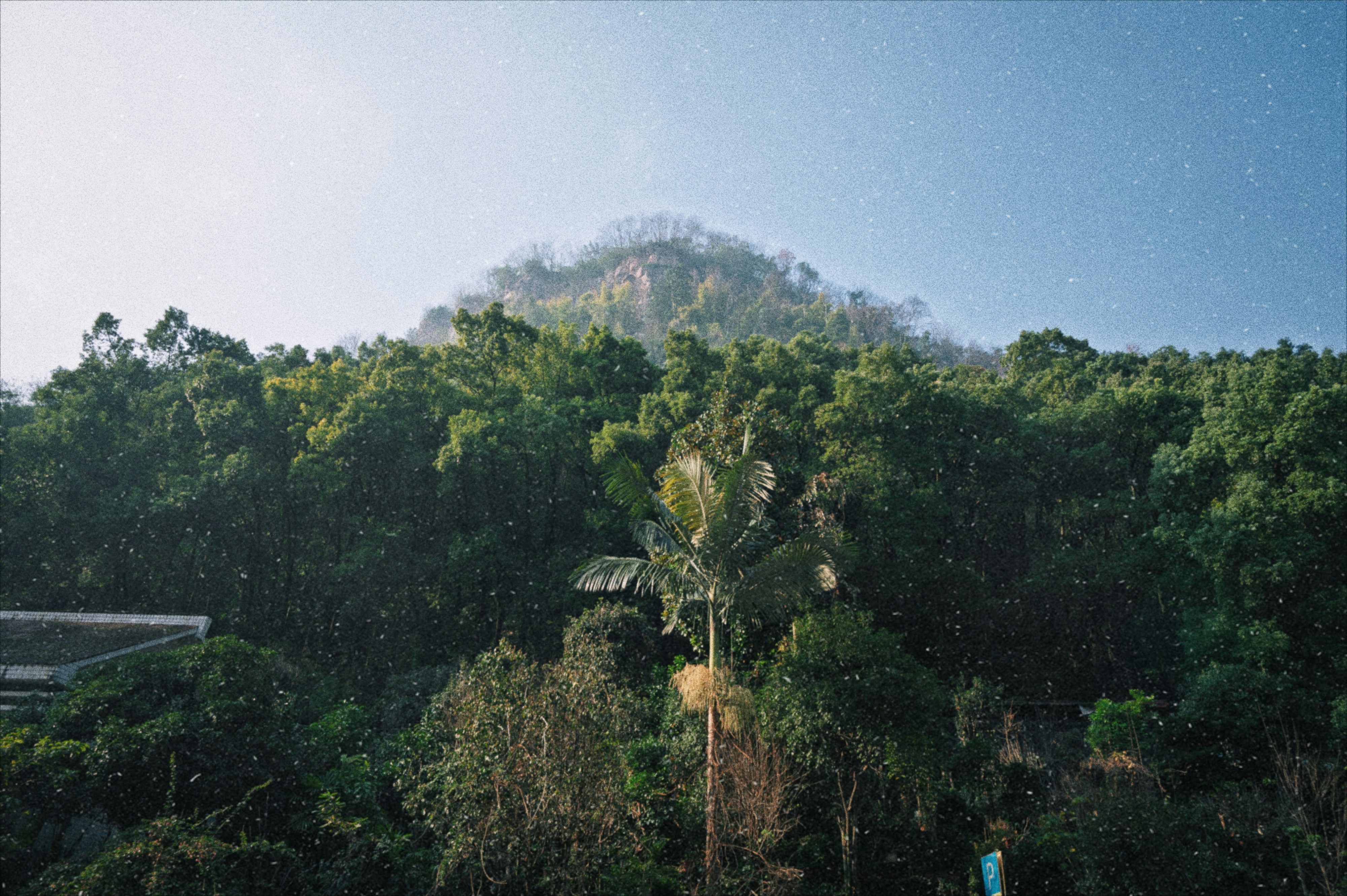 ISA destination photo