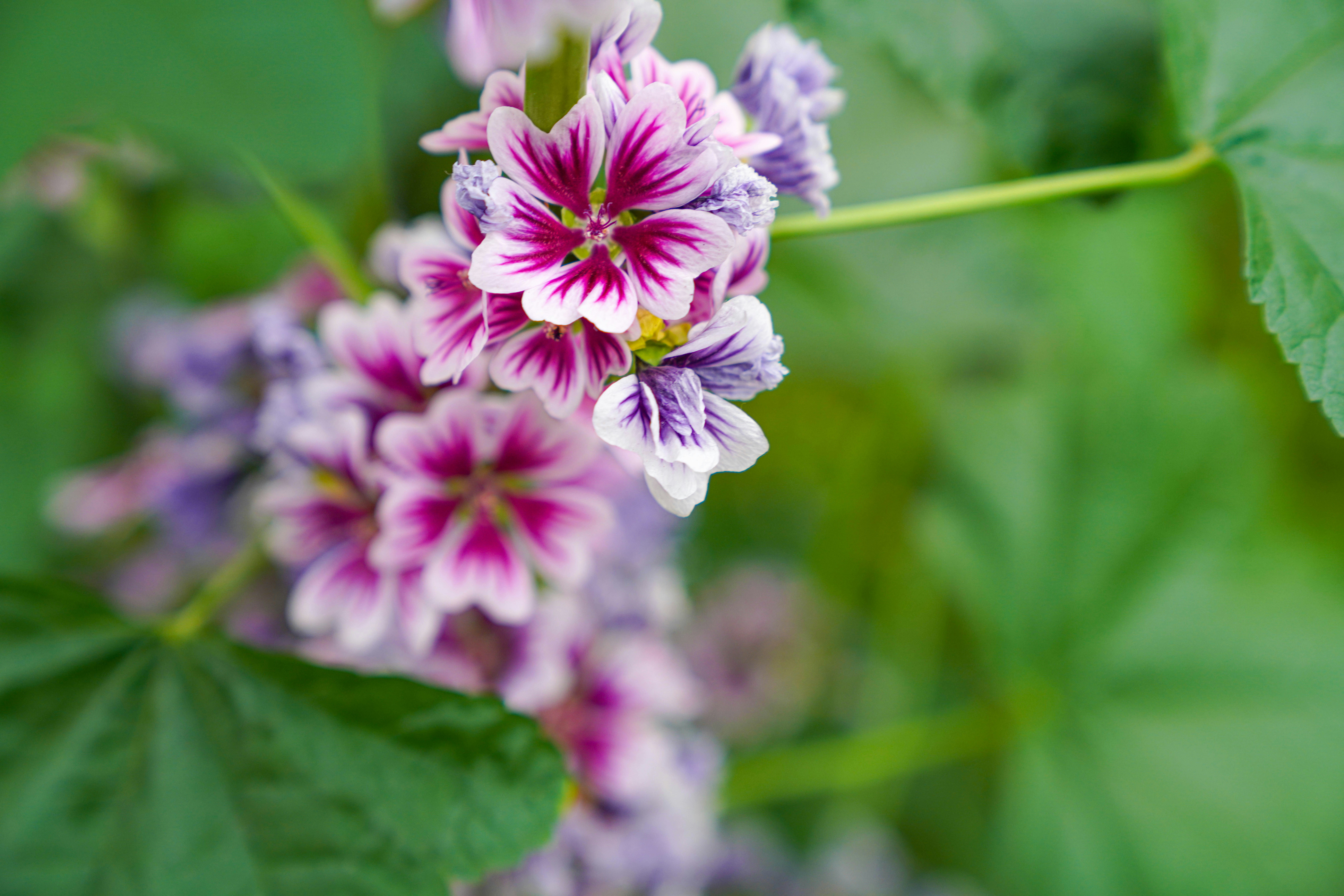 Photo by beyondninefive