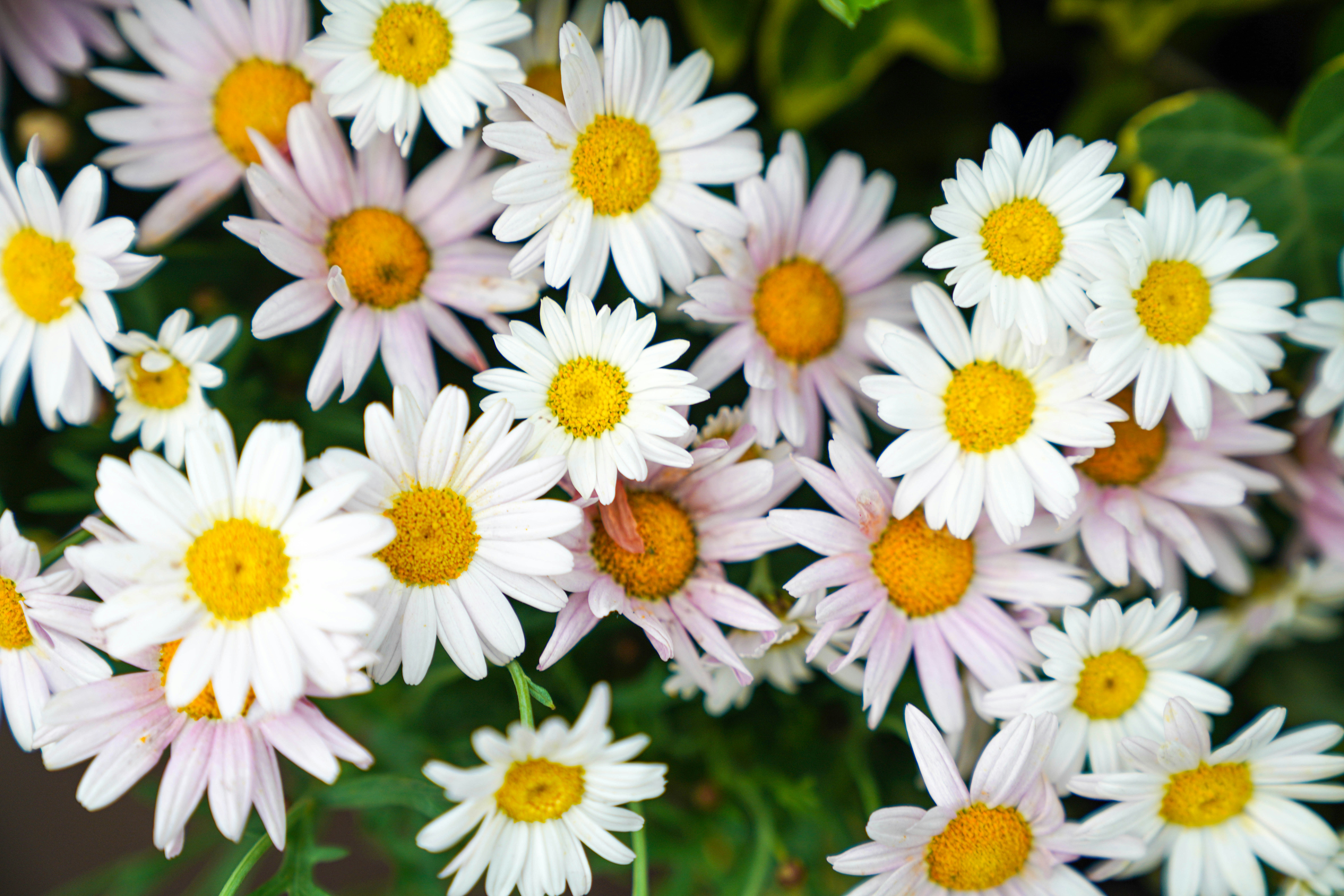 Photo by beyondninefive