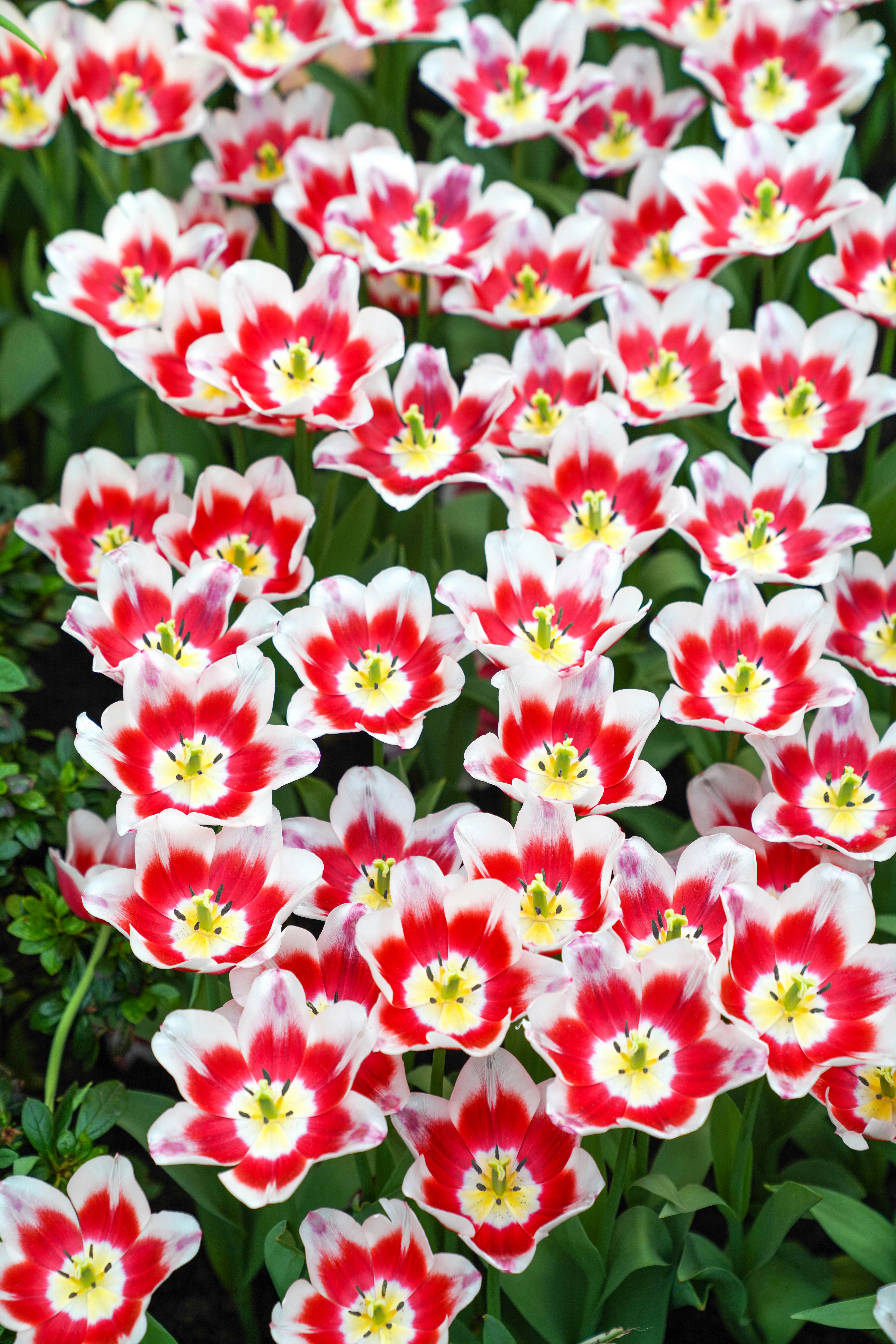 Photo by beyondninefive