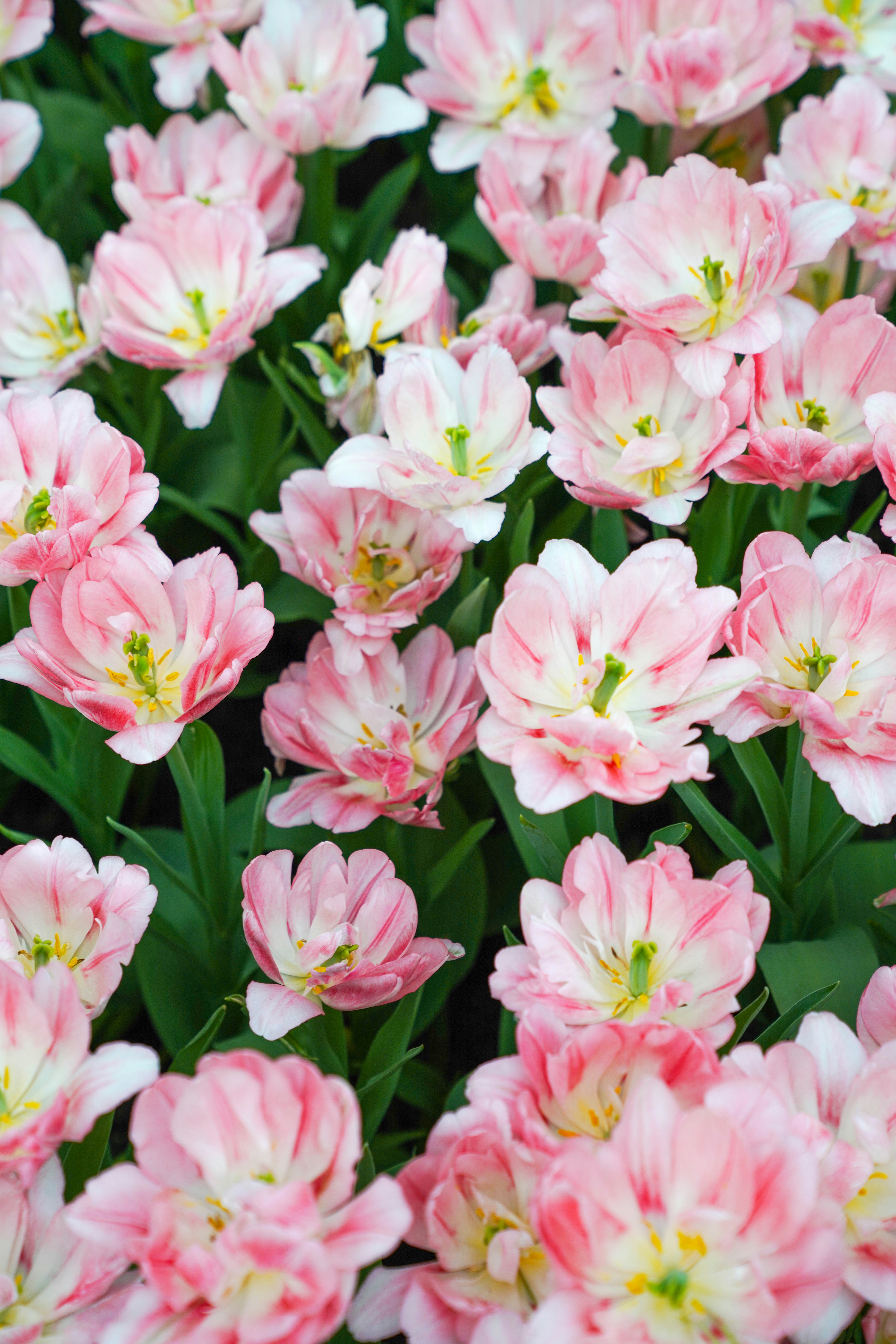 Photo by beyondninefive