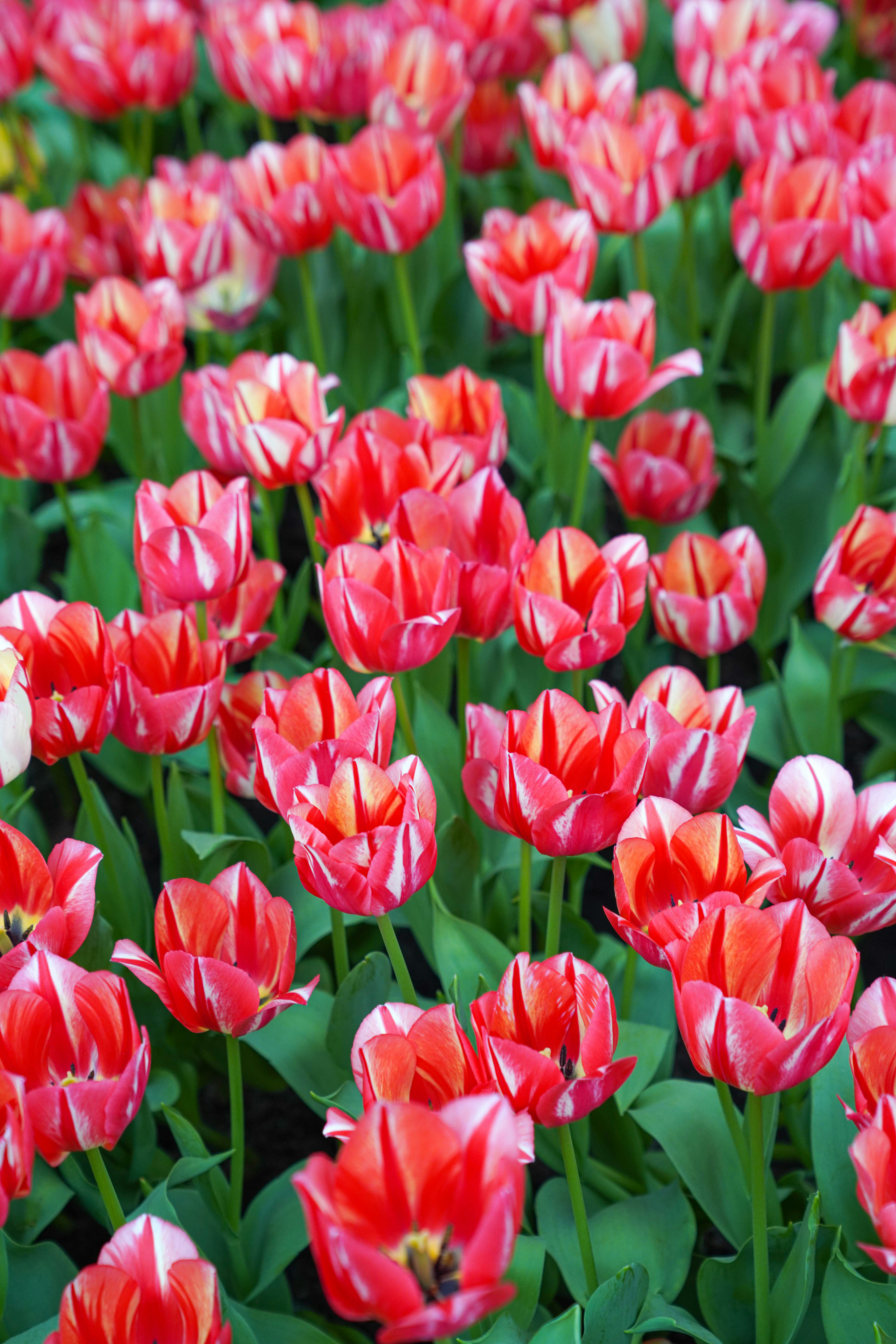 Photo by beyondninefive