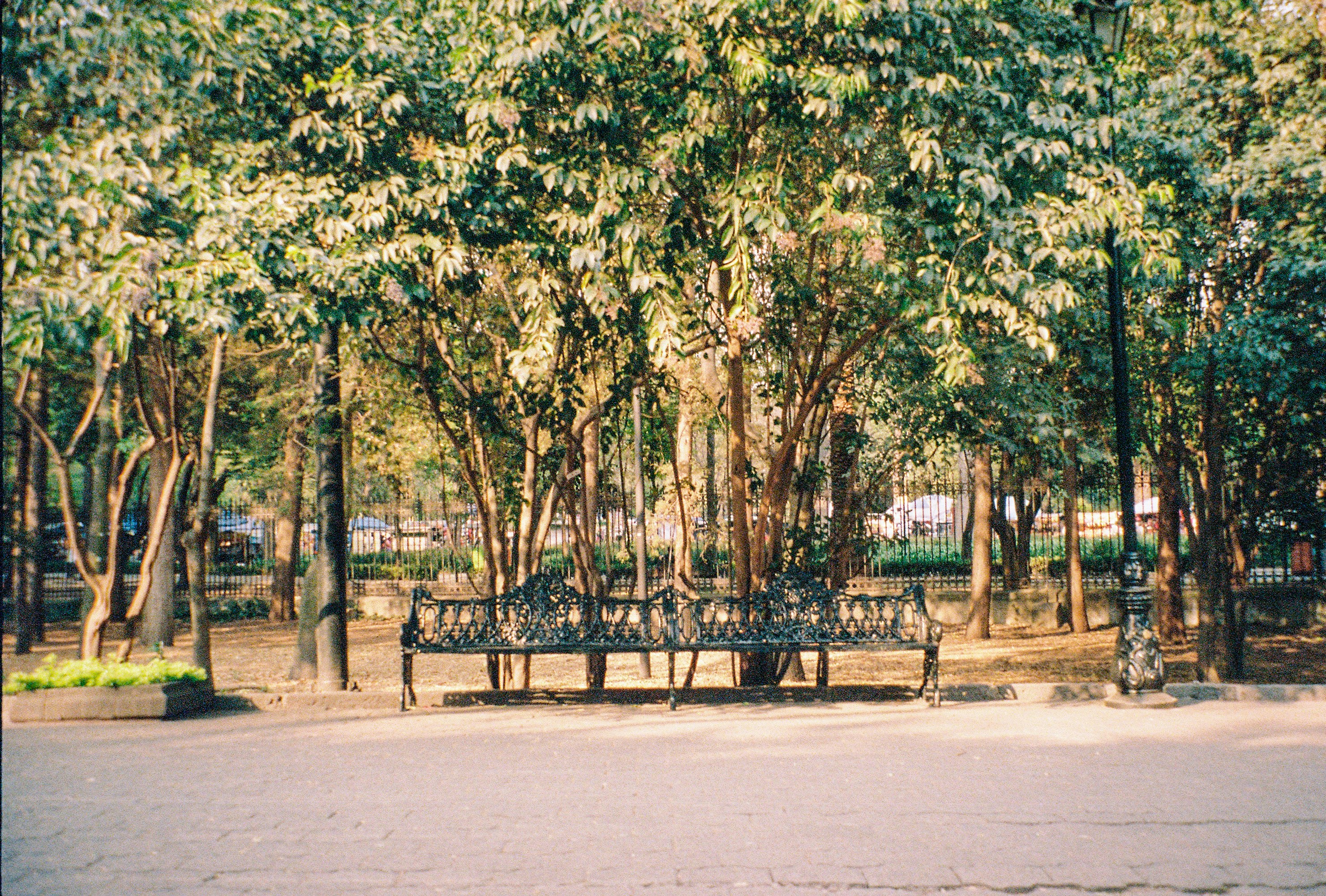 A quiet park bench in Mexico City, captured on film.