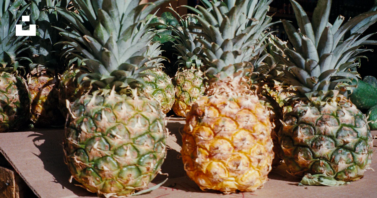 Las piñas maduras están expuestas y listas. foto – Imagen de De color ...