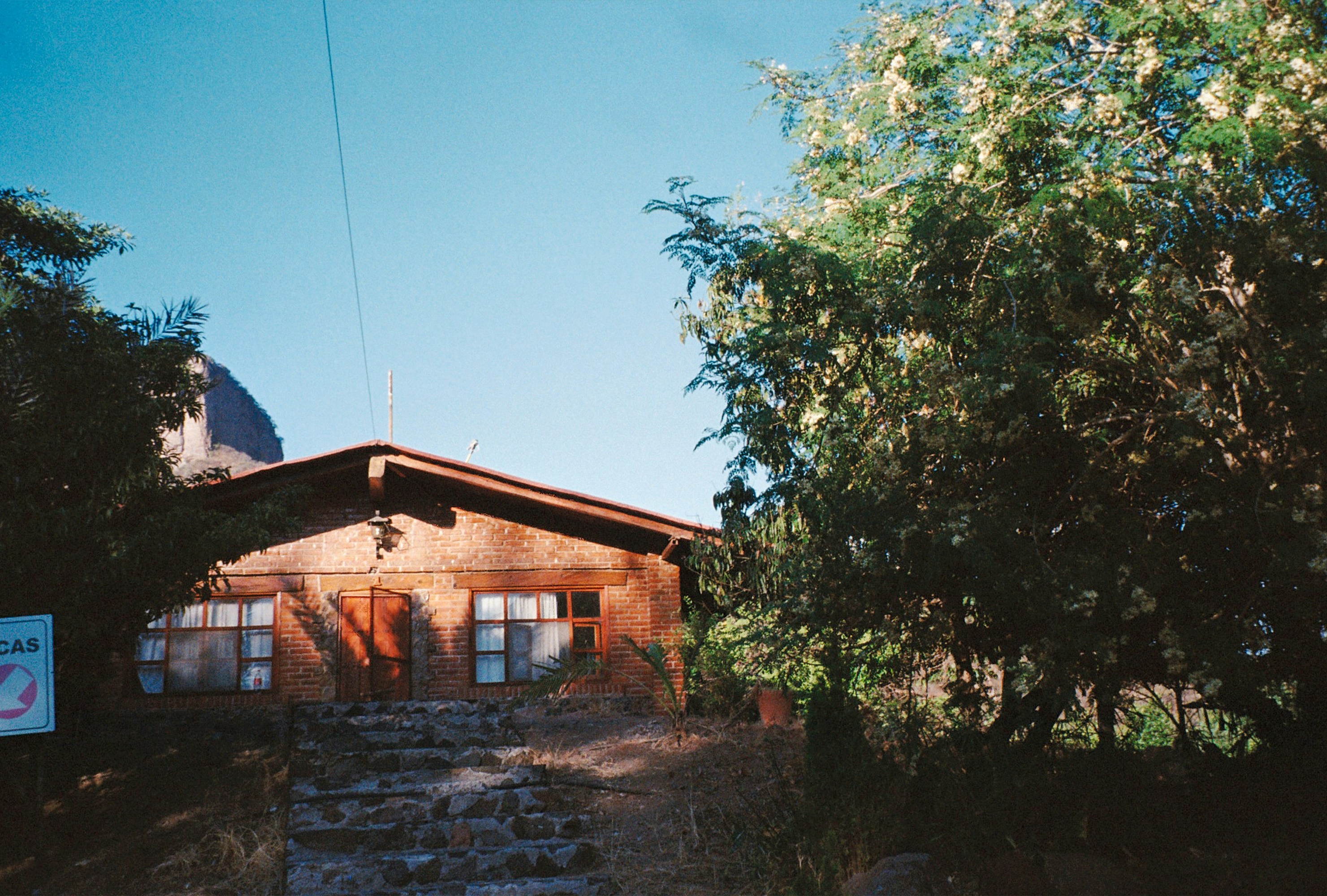 素朴な家屋が青々とした木々に囲まれています。