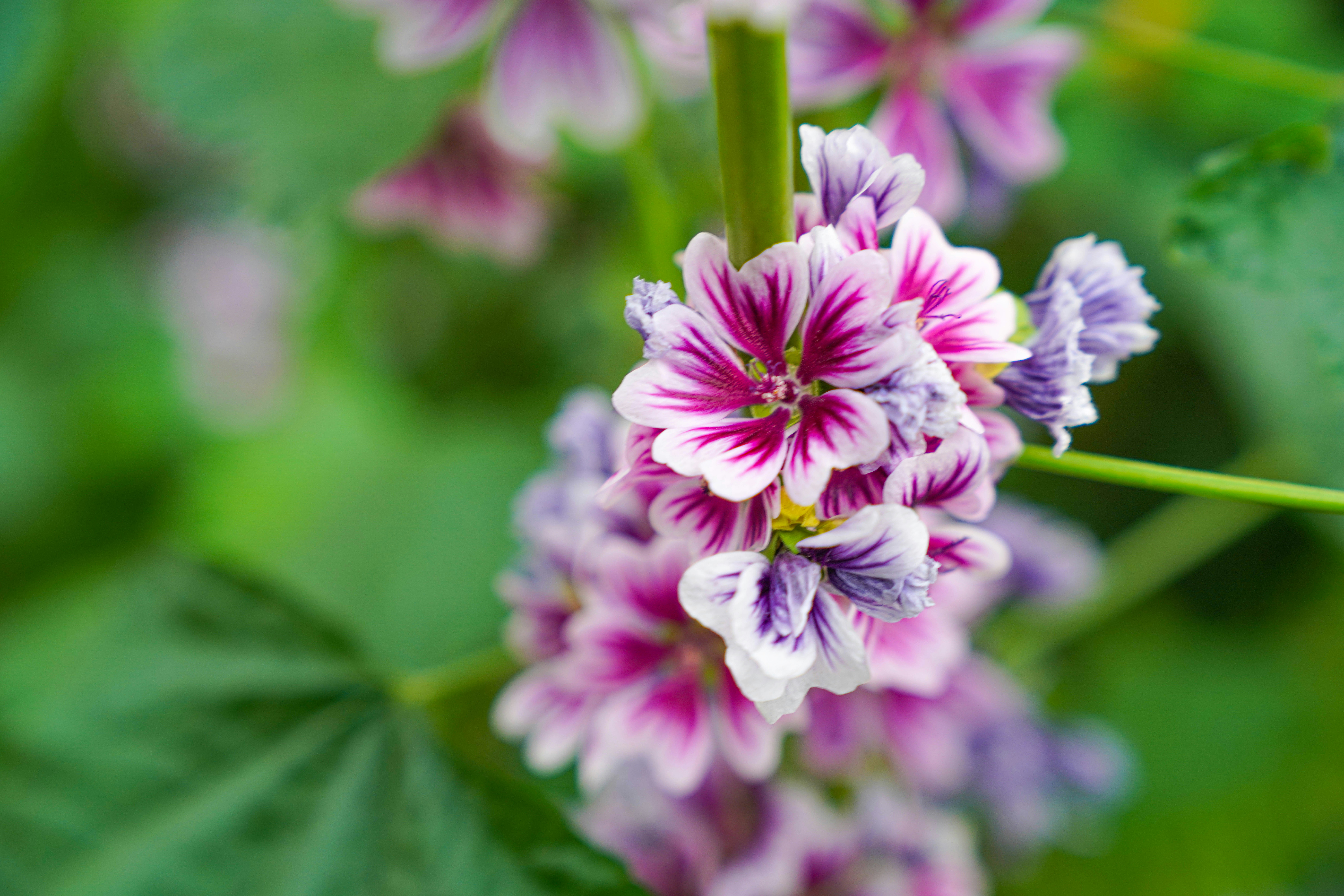 Photo by beyondninefive