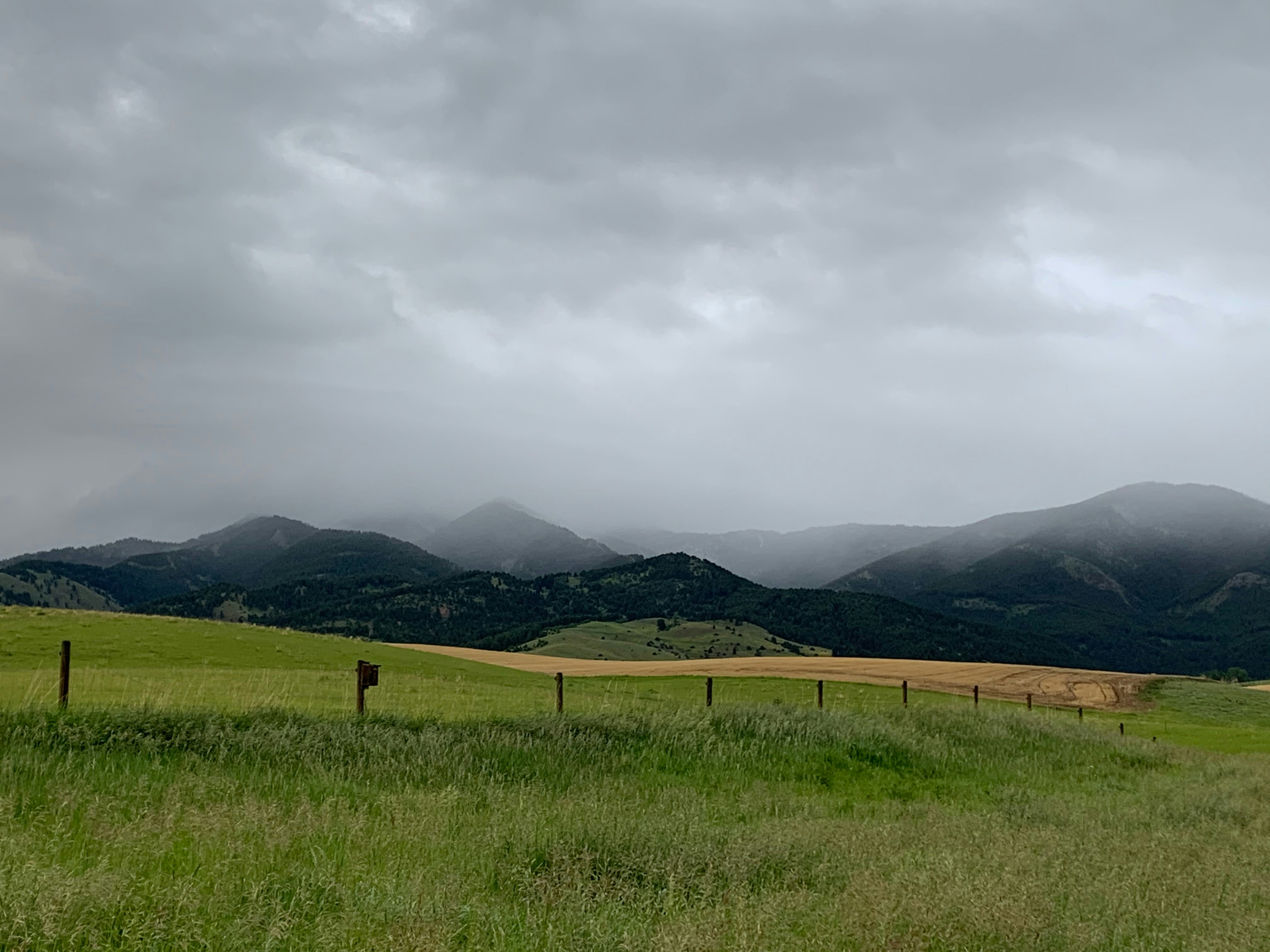 Photo by stephaniedavison