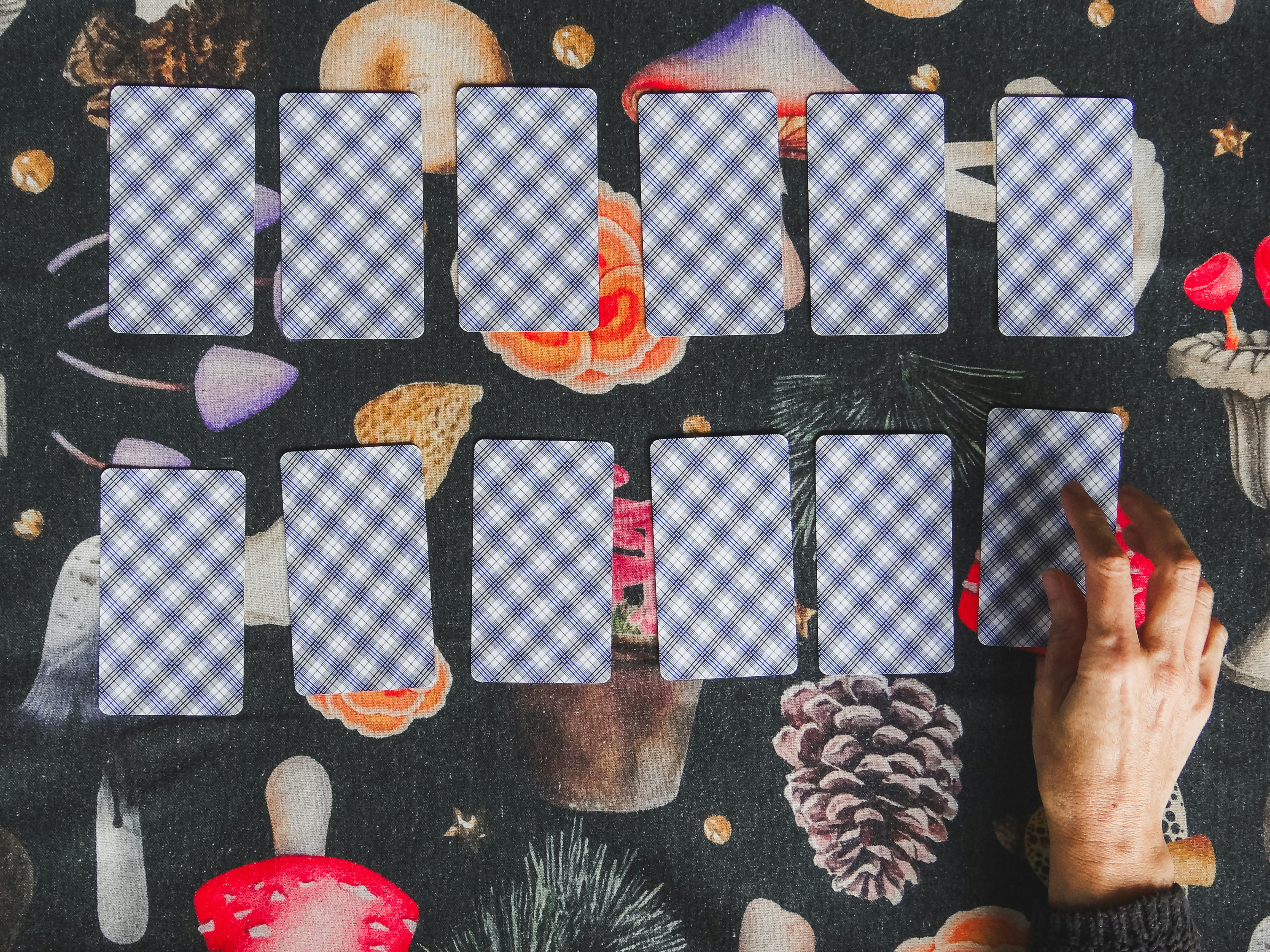 Cartes de tarot disposées, prêtes pour une lecture.