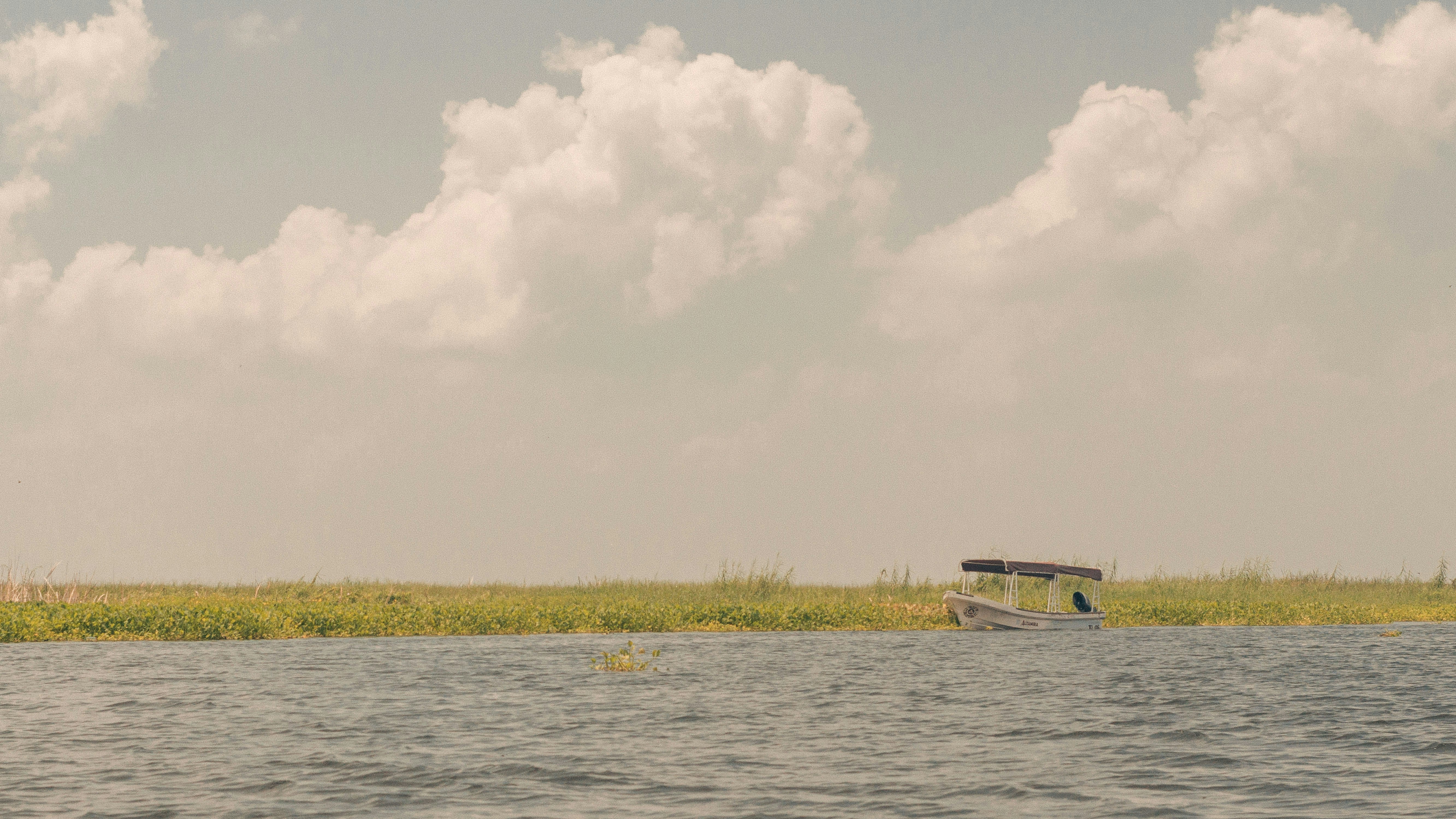 A boat sits near a grassy shore.