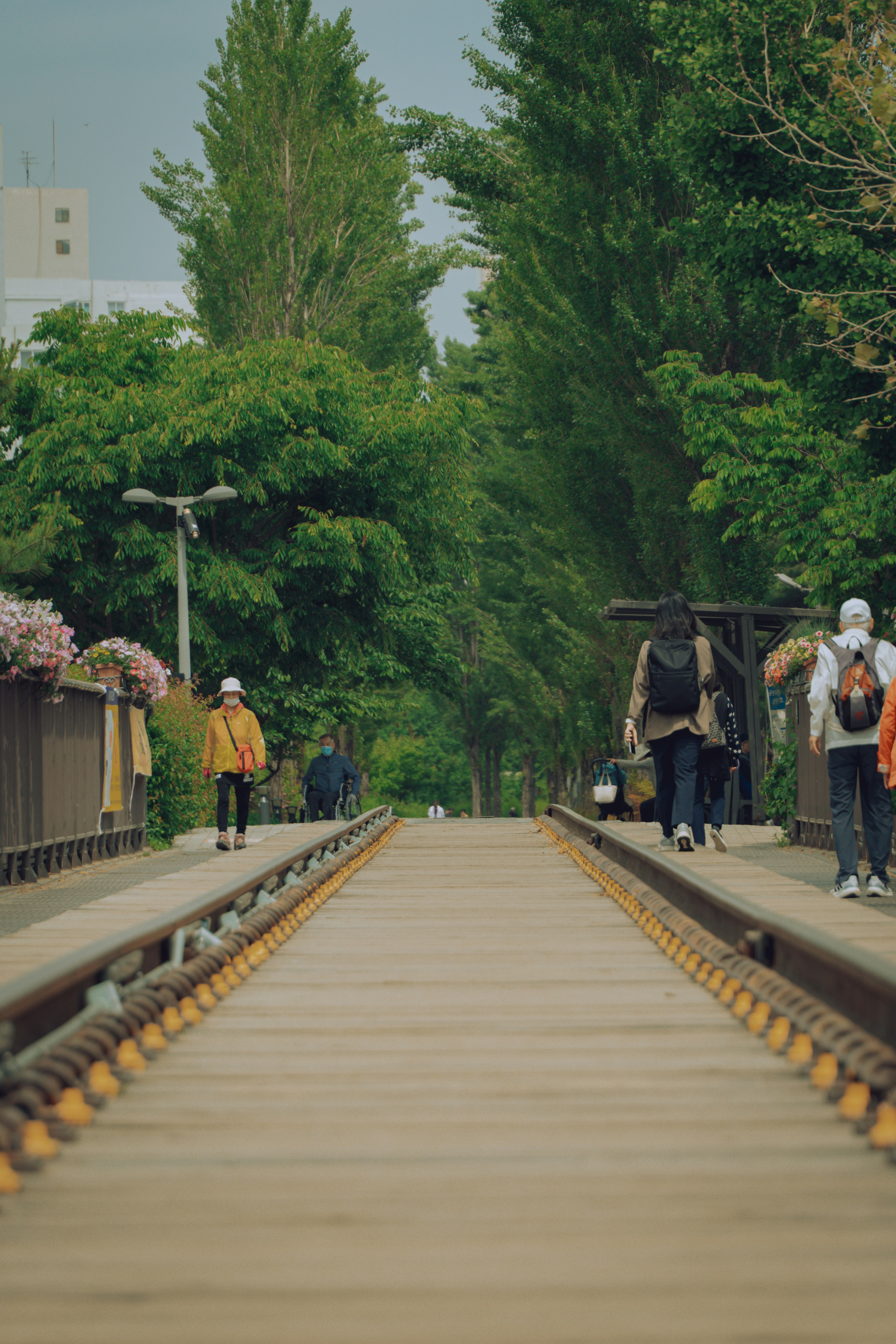 Photo by brother_yoon