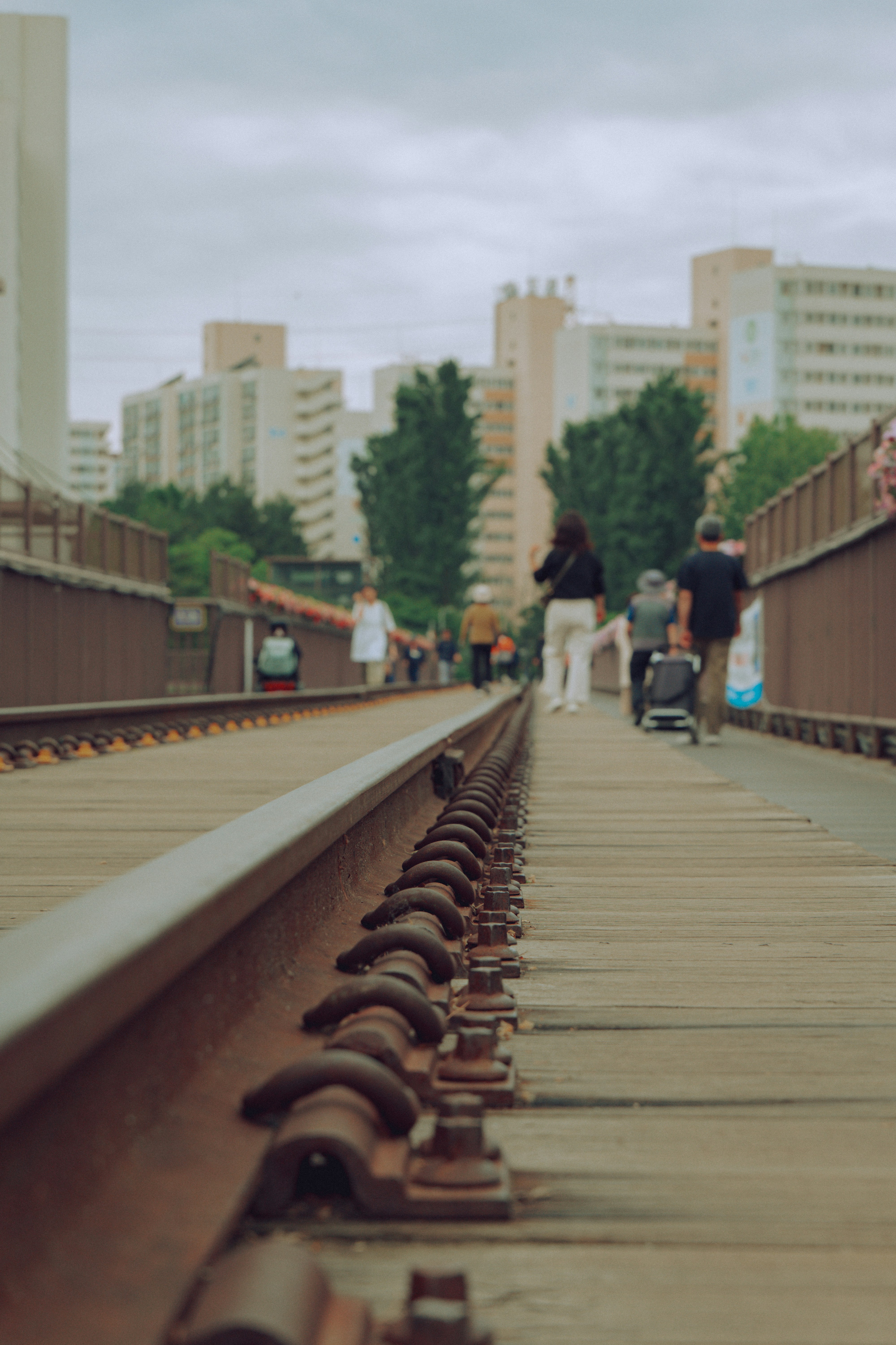 Photo by brother_yoon