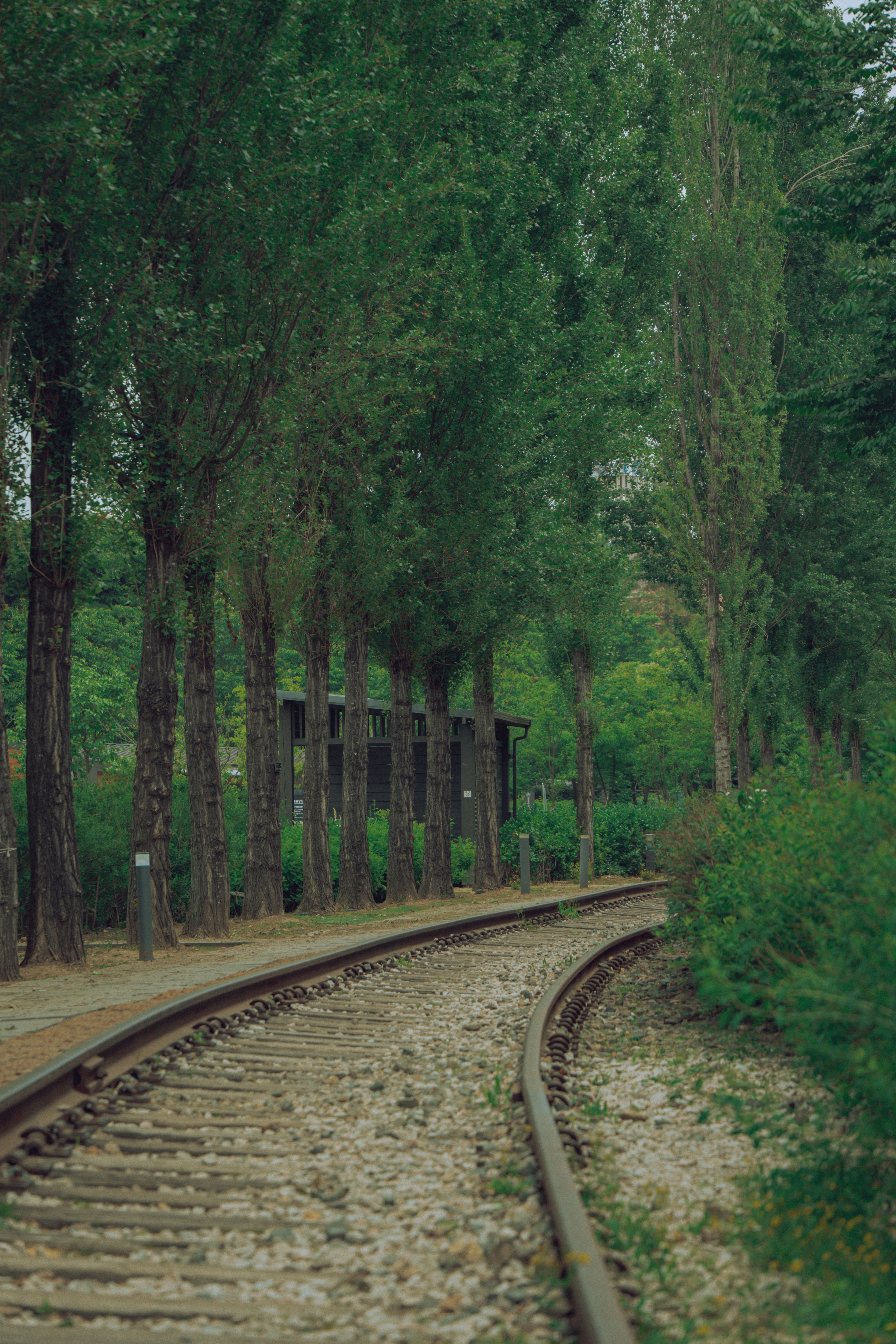 Photo by brother_yoon