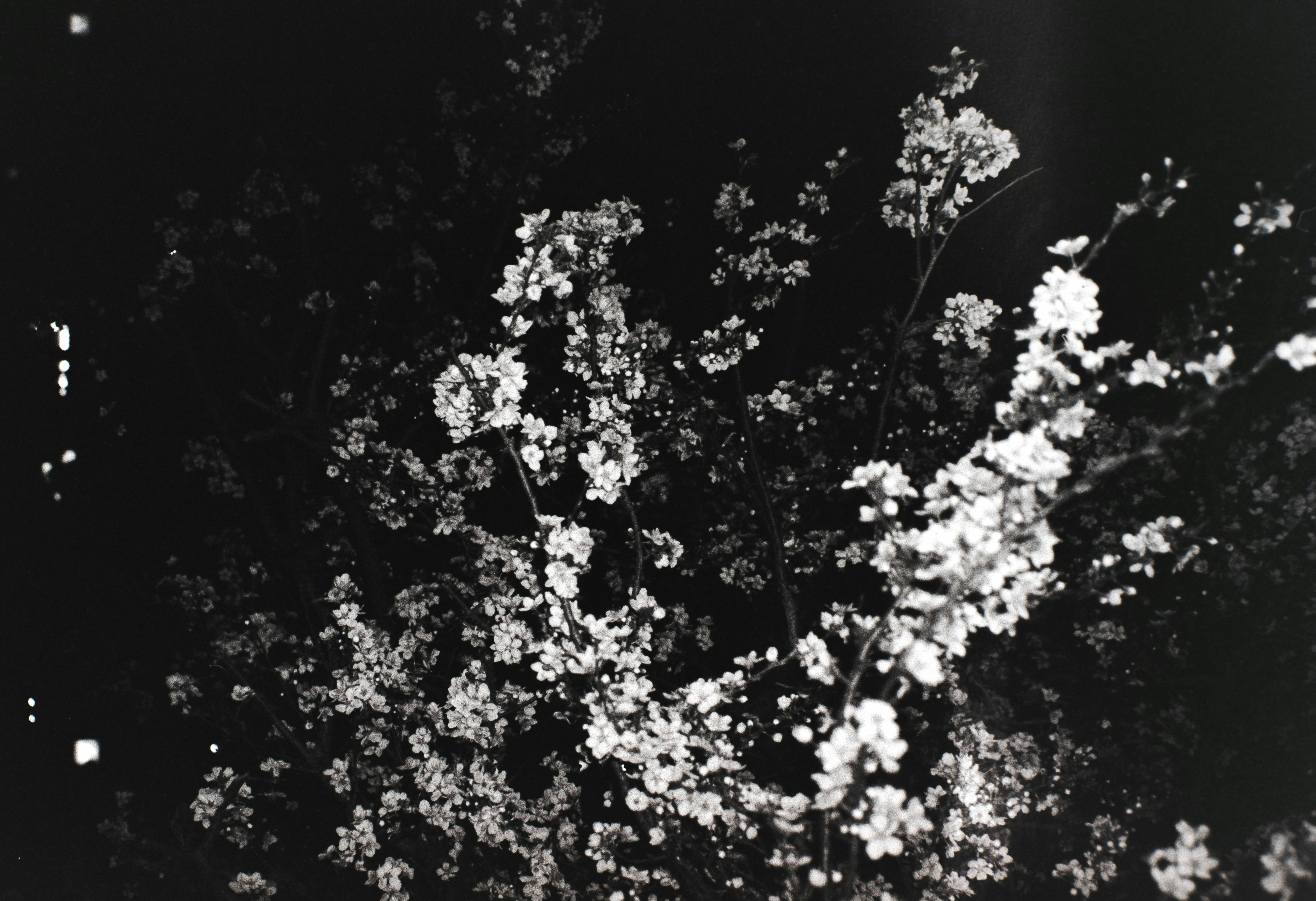 Photo by ragnarbeaverson