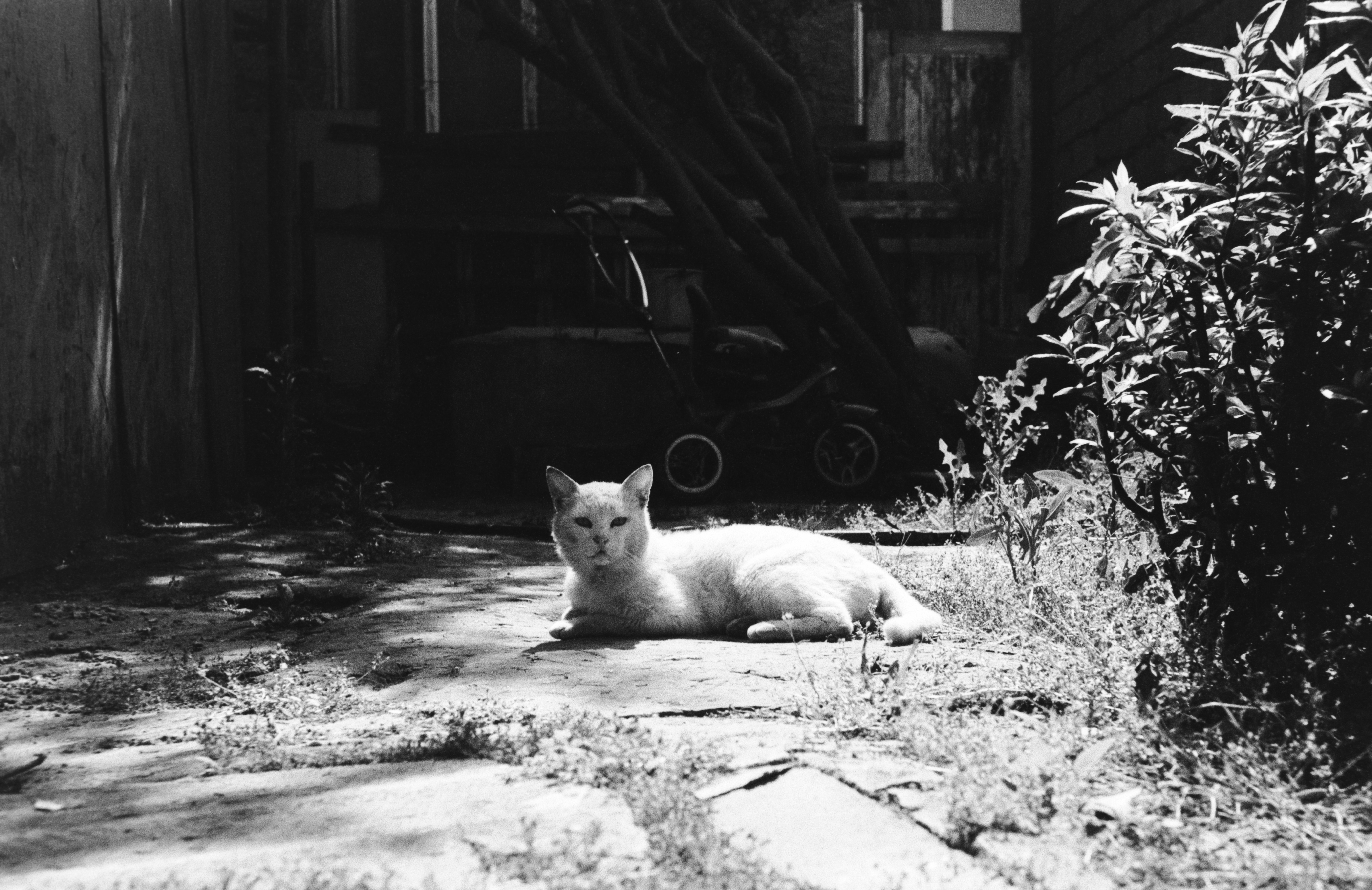 Photo by ragnarbeaverson