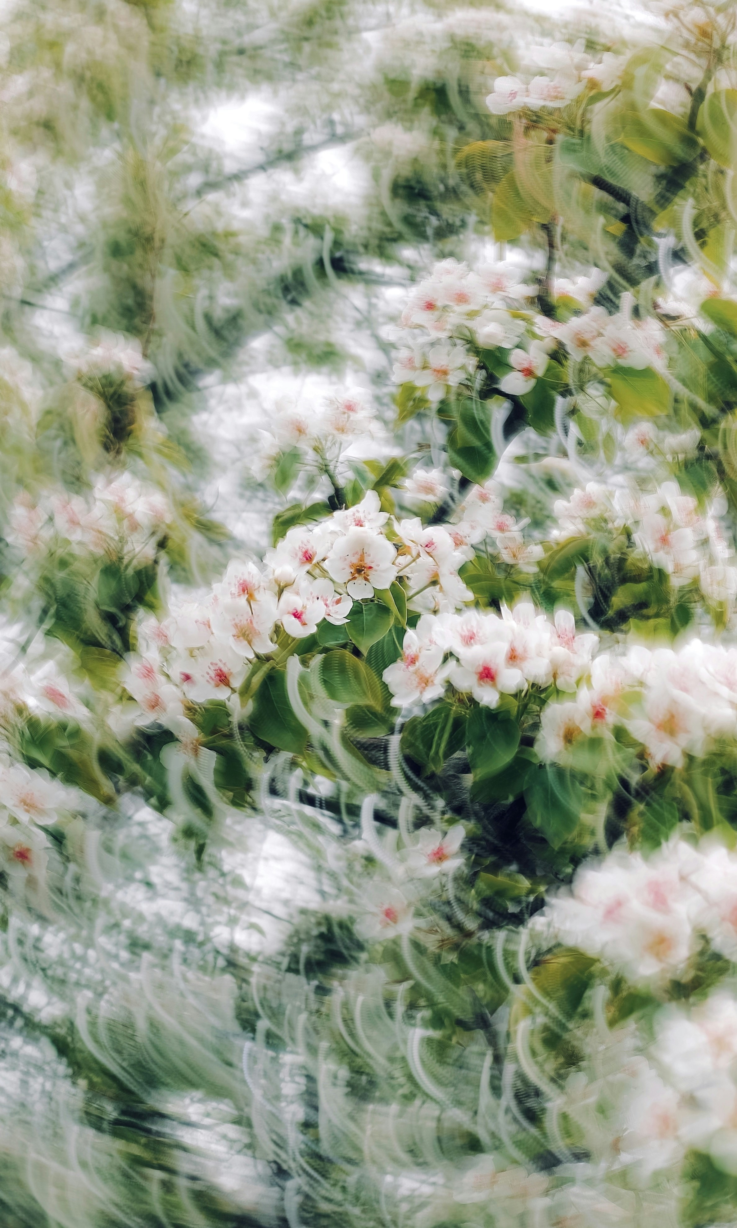 Photo by eugene_golovesov