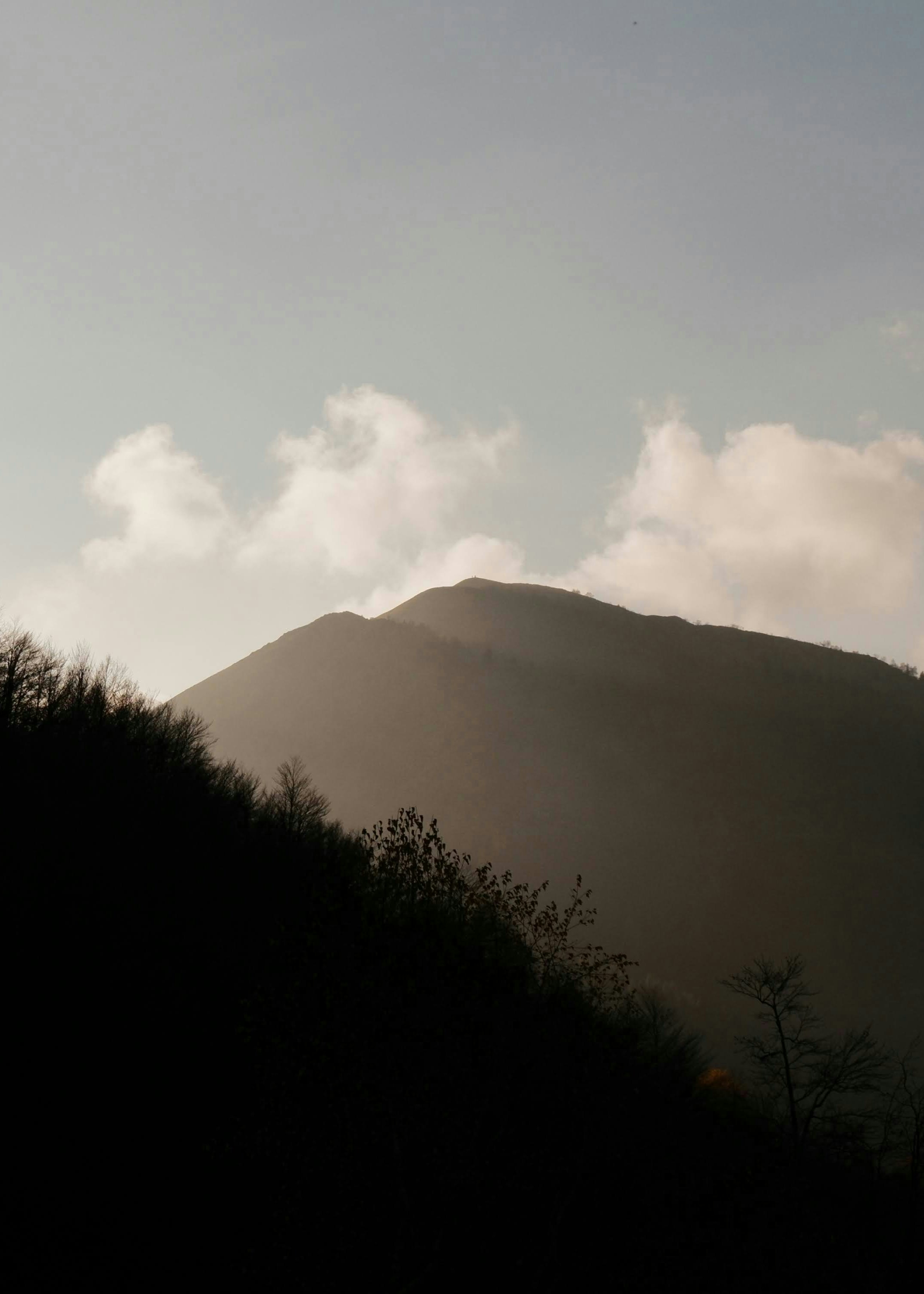 Photo by dariobertolino