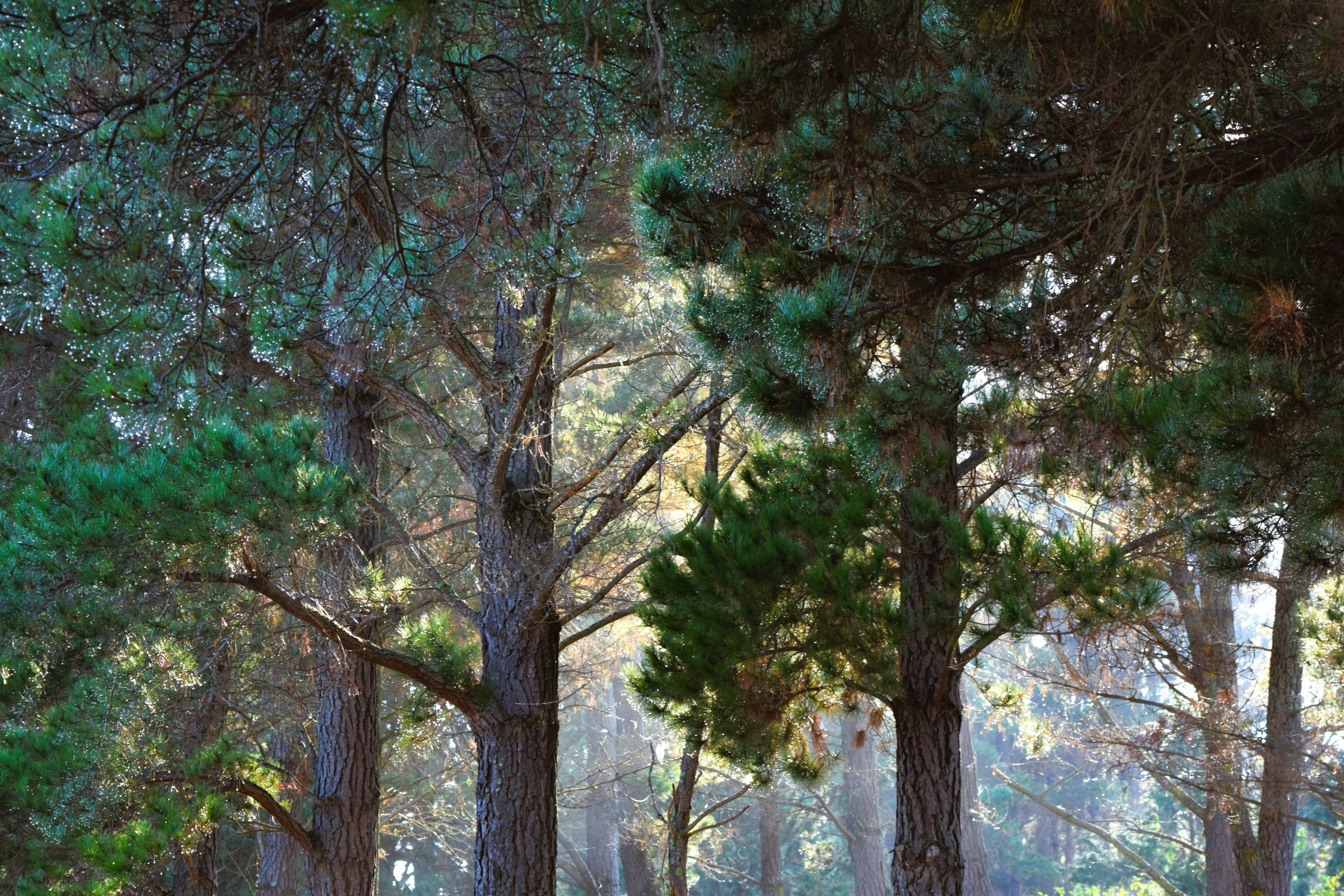 Photo by ch_photography