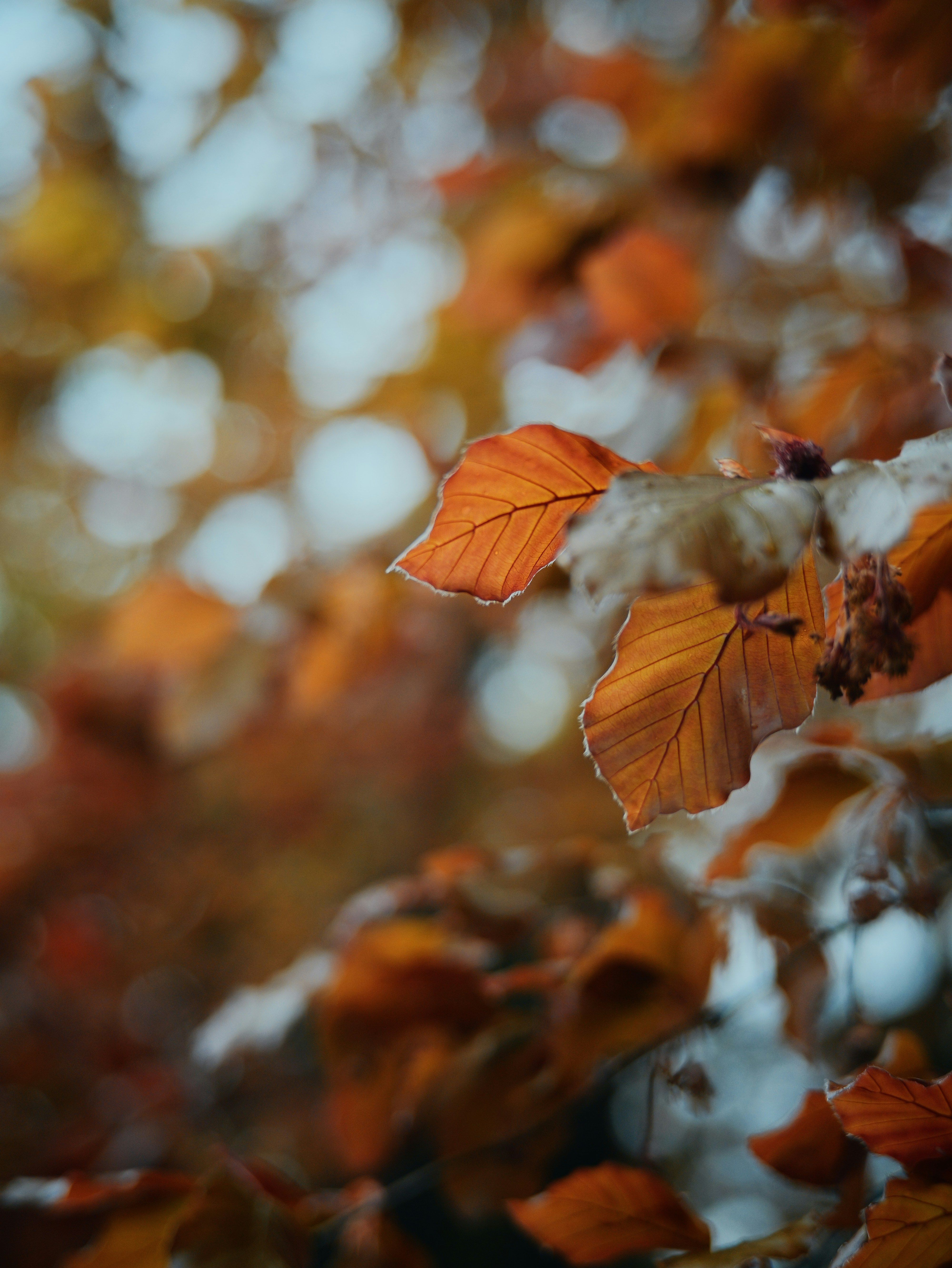 Photo by aaronburden