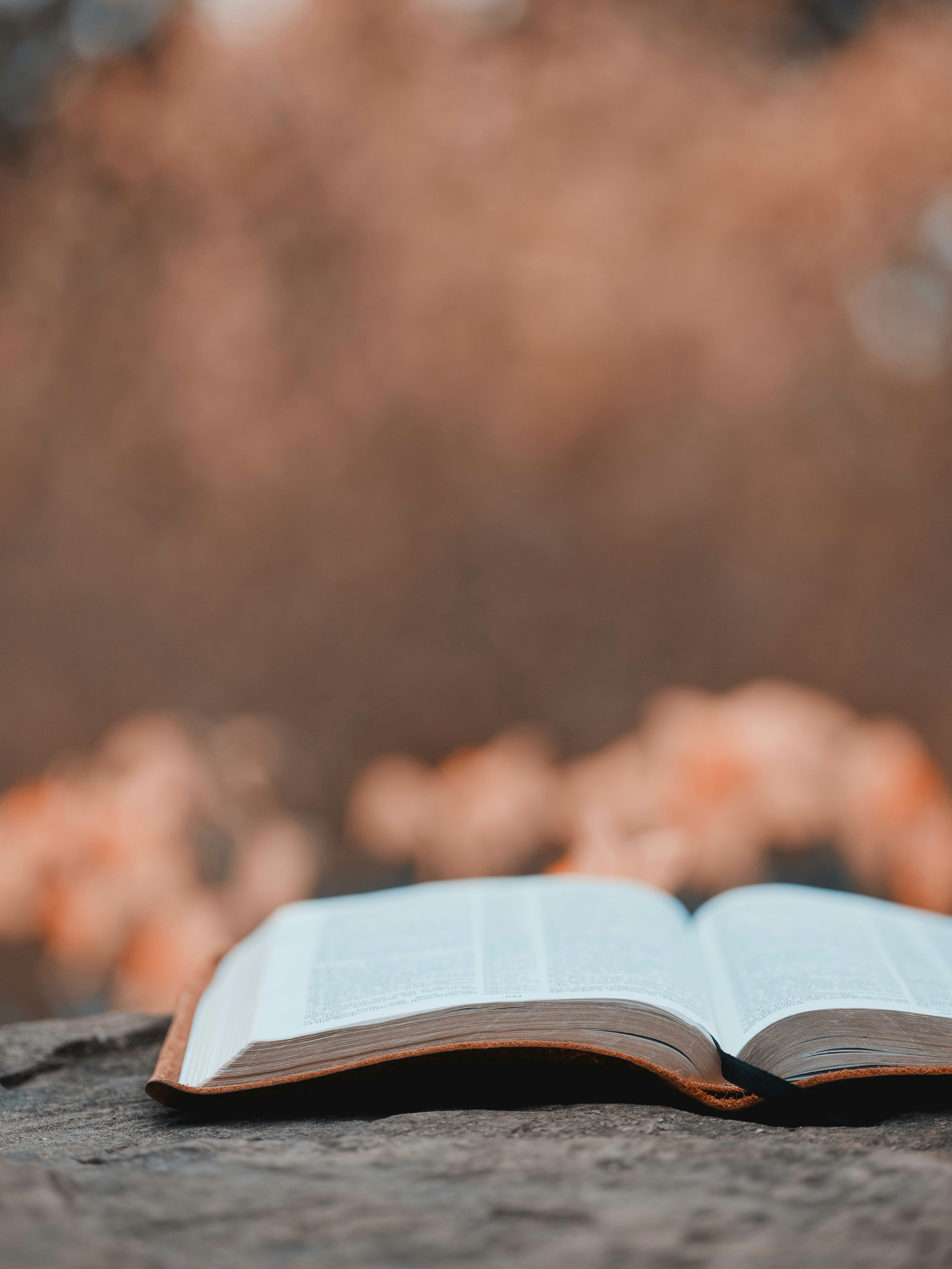 An open bible rests in the sunlight.