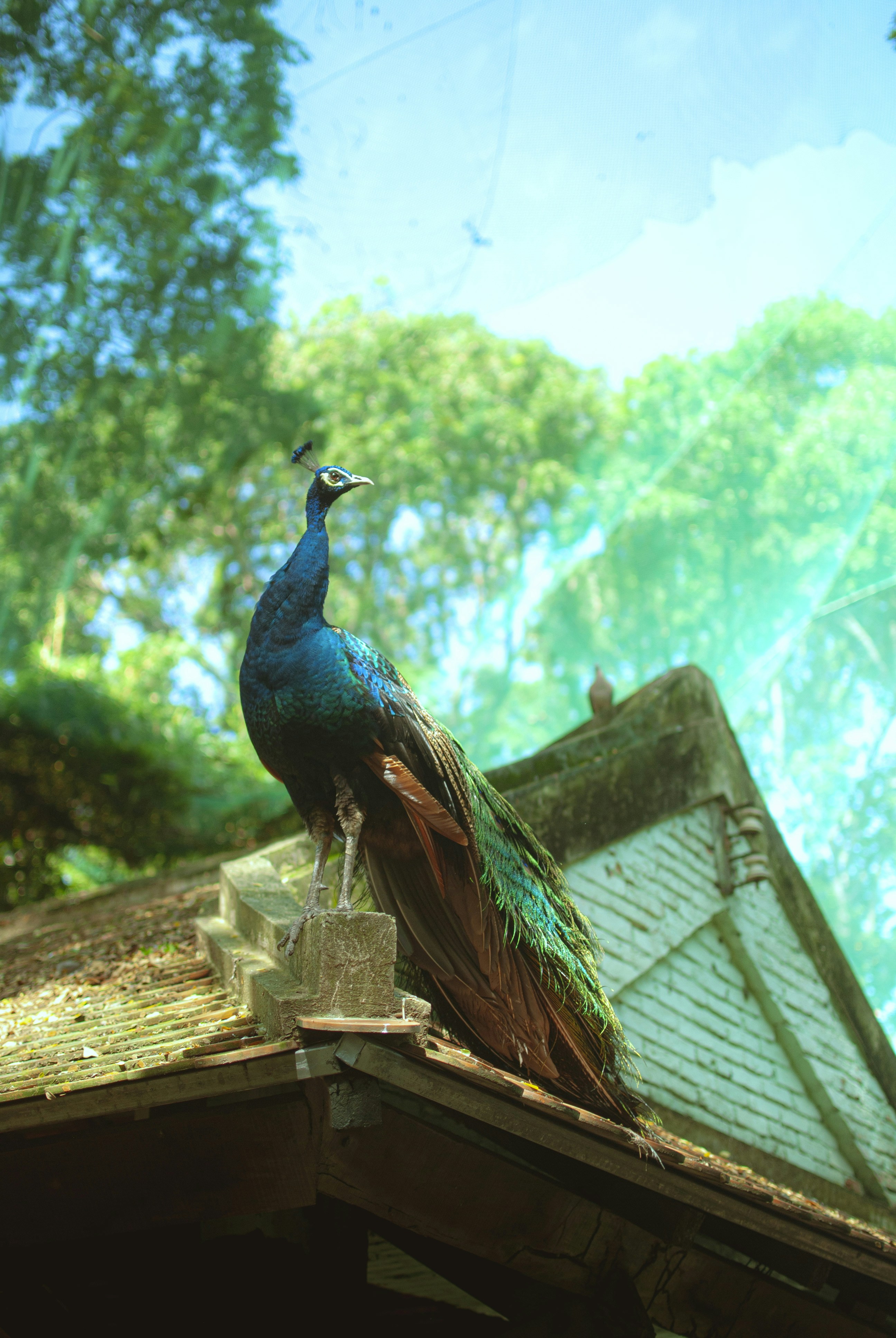 Photo by linhlinh0023