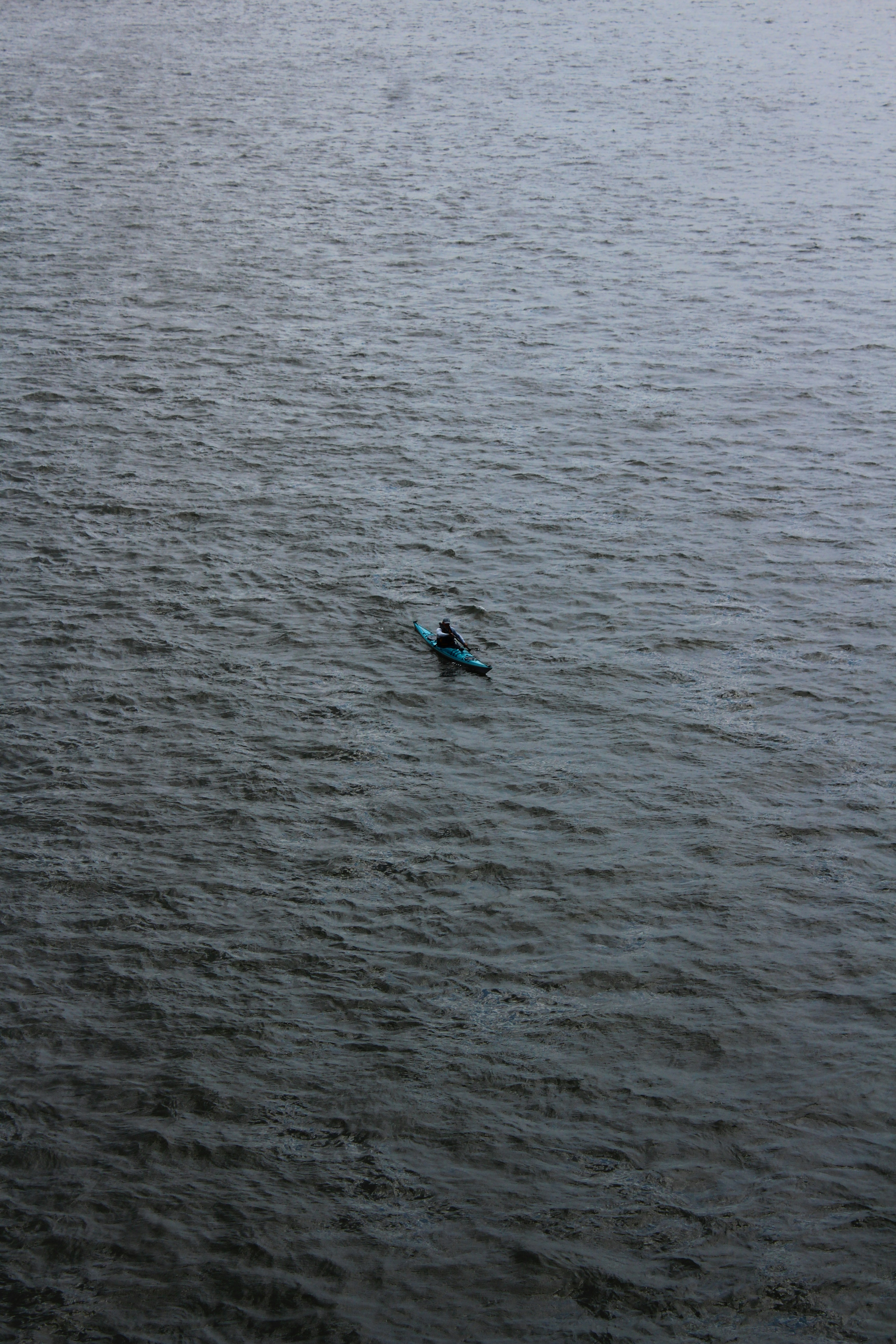Photo by rpolukhov