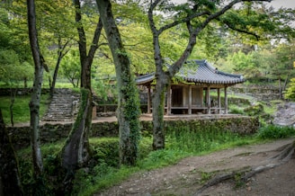 A traditional korean pavilion sits nestled amongst trees.