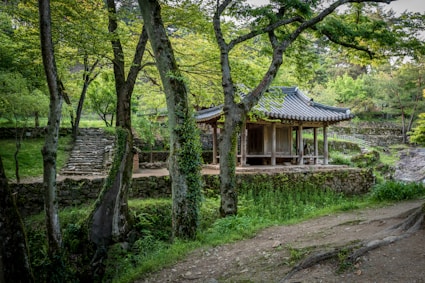 A traditional korean pavilion sits nestled amongst trees.