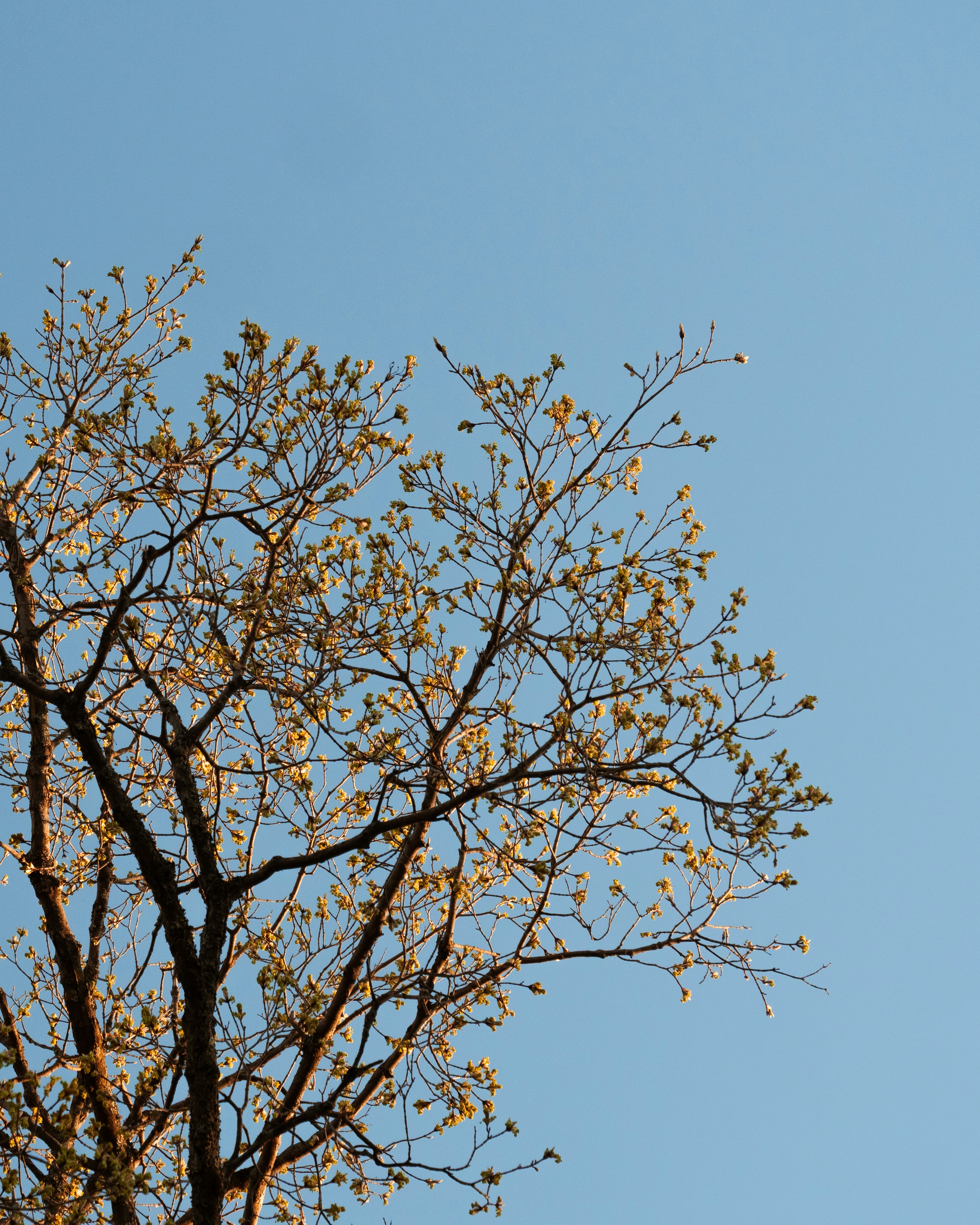 Photo by storybyphil