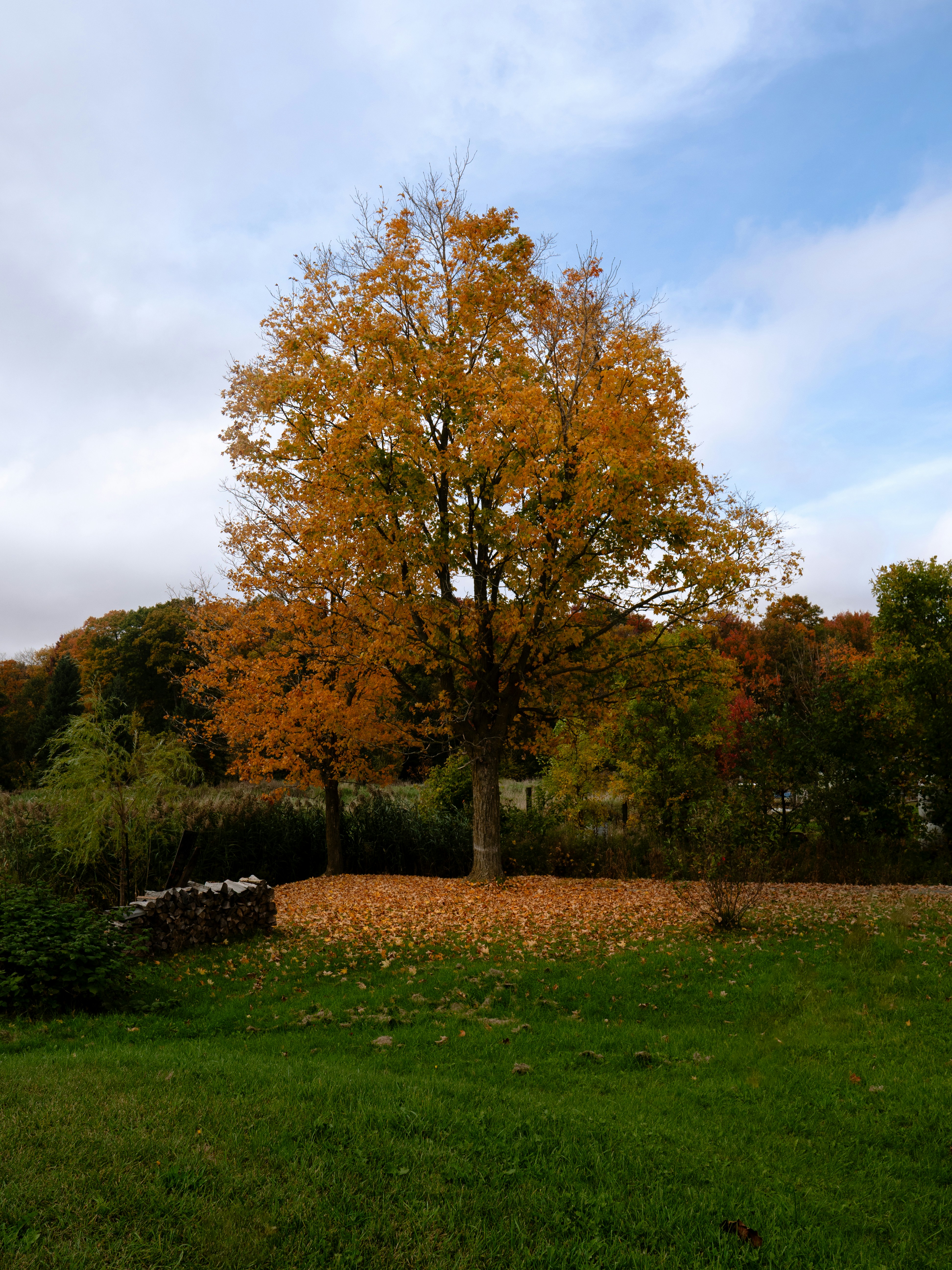 Photo by storybyphil