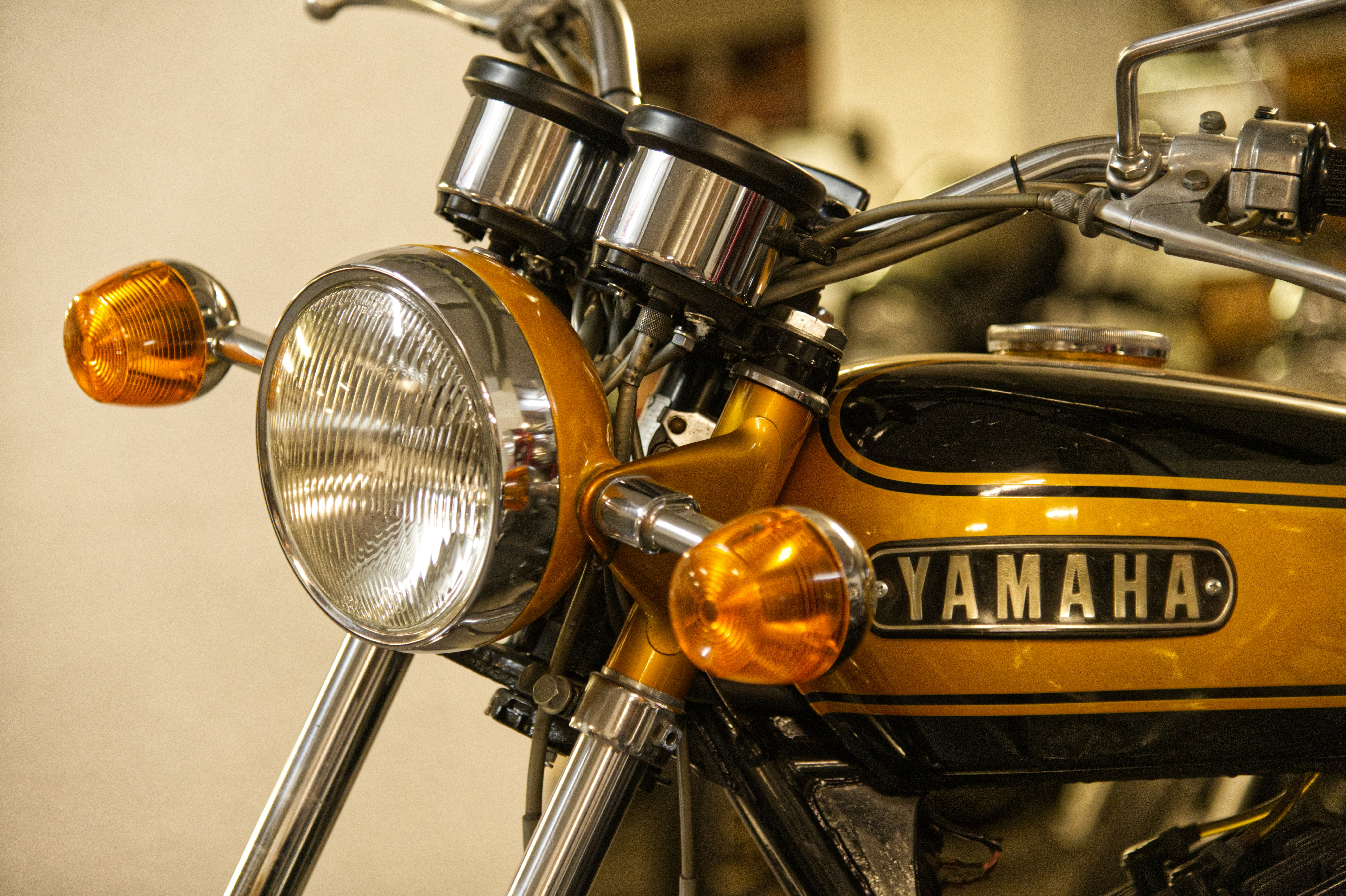 Photo by scholli1100