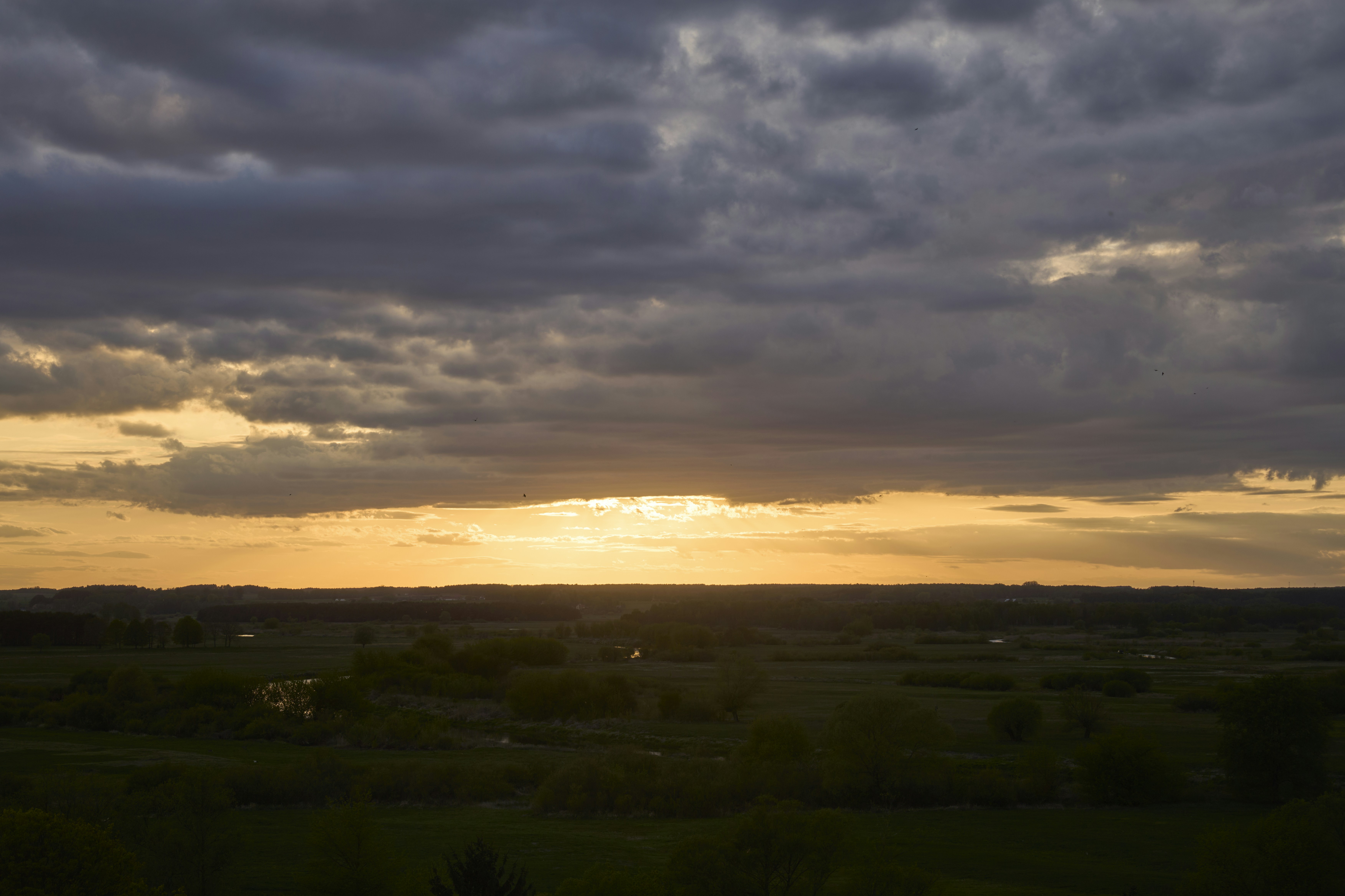 Photo by wolfgang_hasselmann