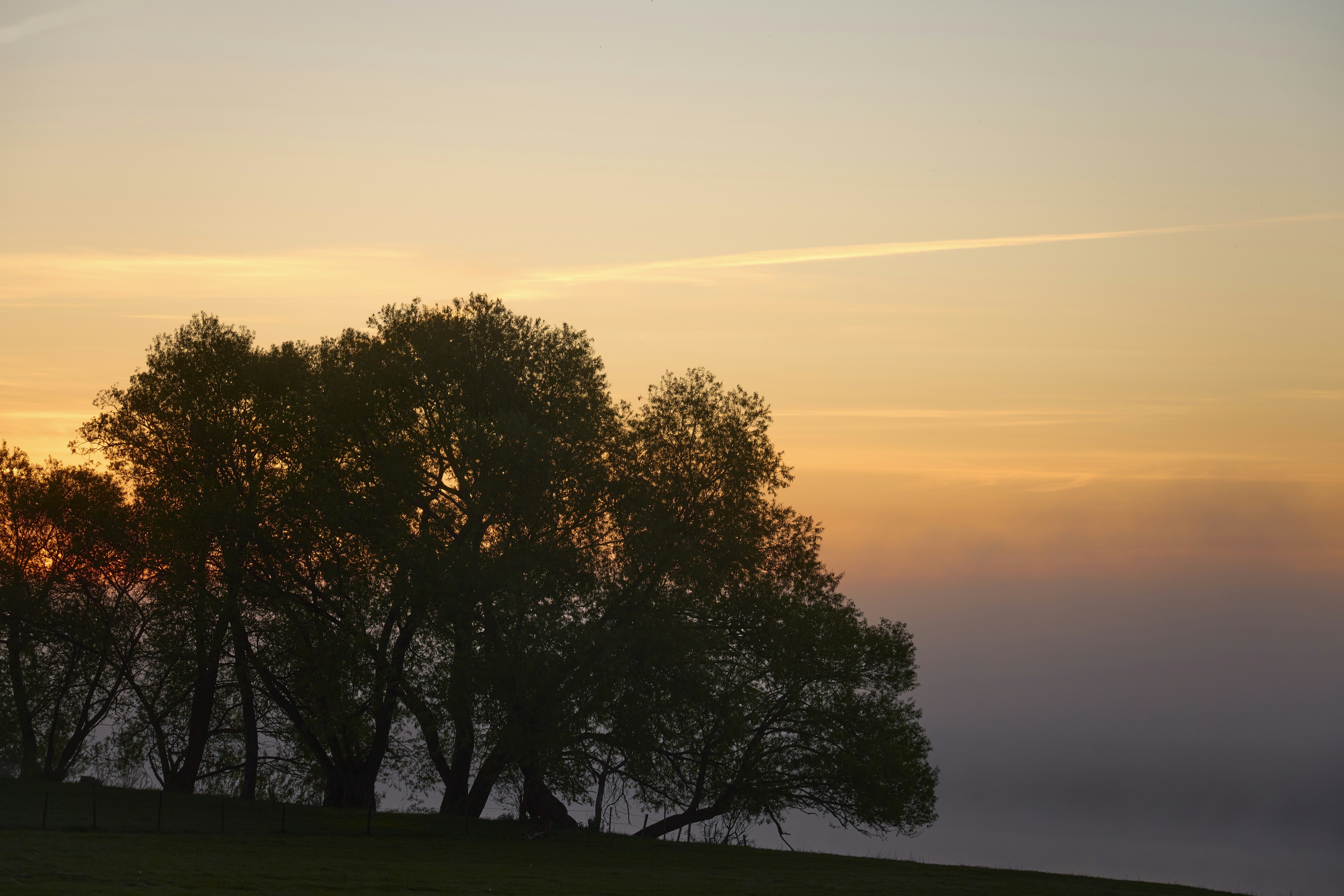 Photo by wolfgang_hasselmann