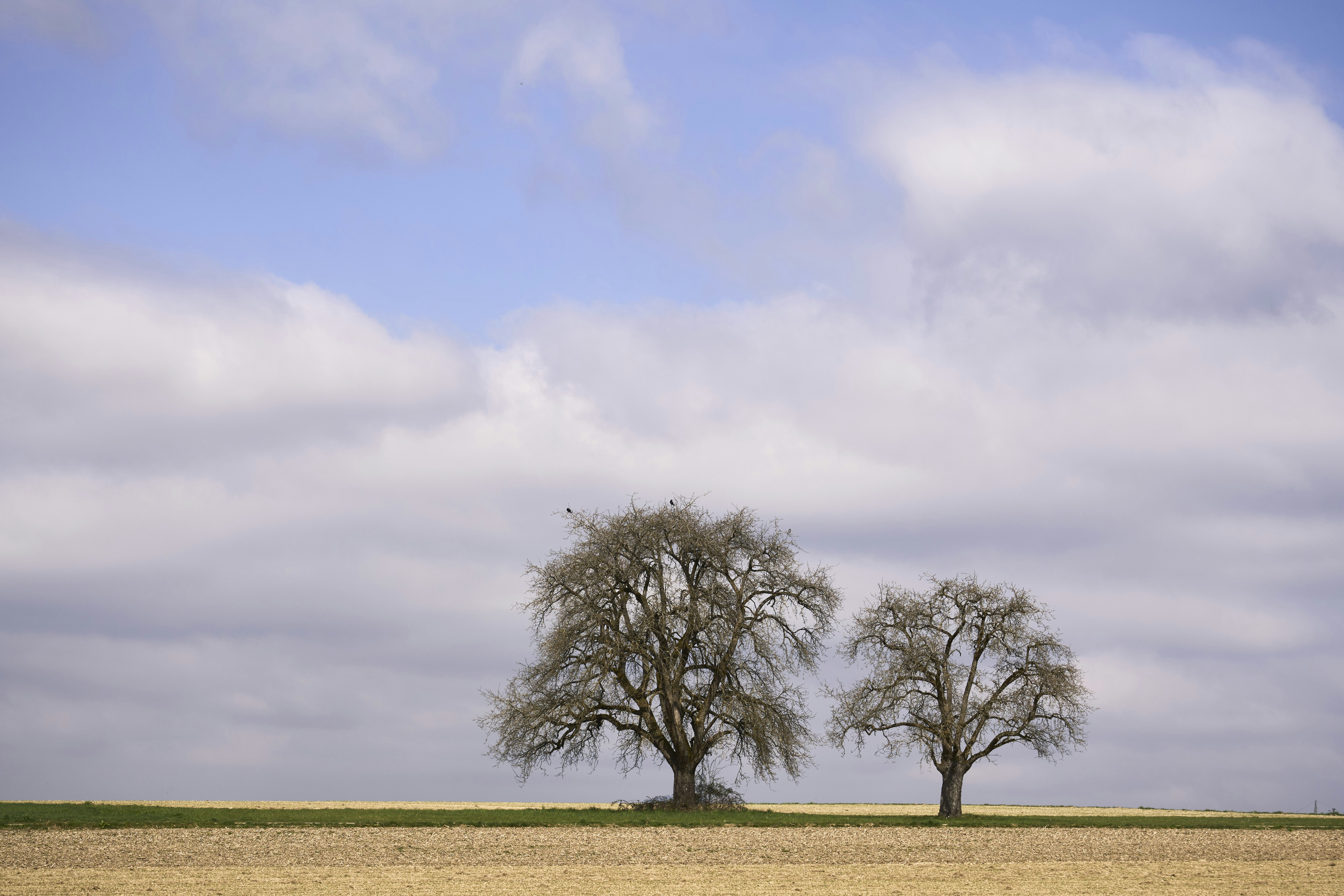 Photo by wolfgang_hasselmann